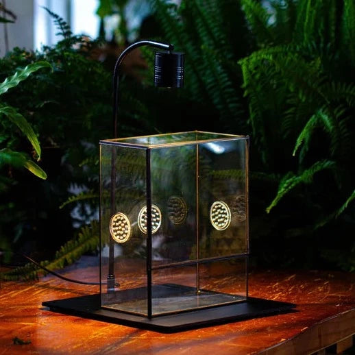 Handmade Close Glass Terrarium with Vents, with LED Grow Light Set, FOR insects, bugs