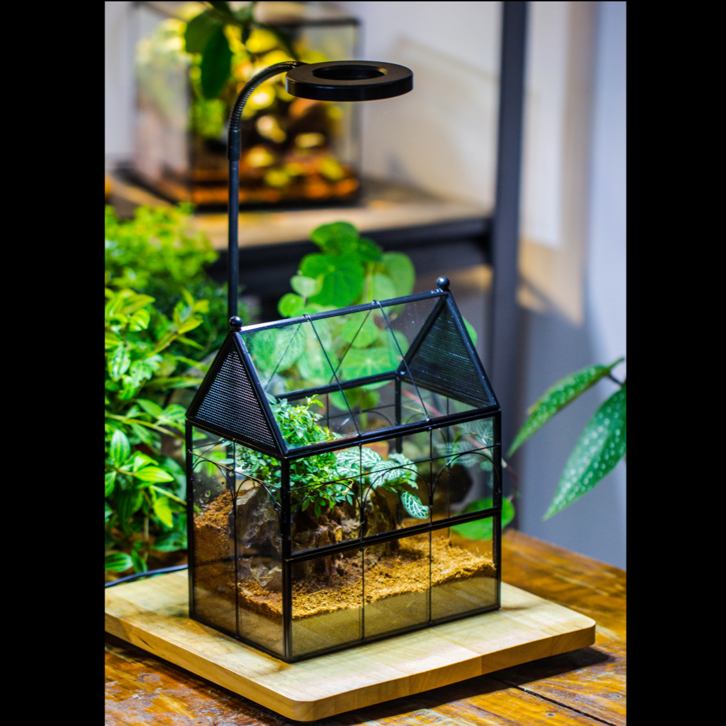 Handmade Terrarium with Light, House Shape Glass Geometric Terrarium with LED Light Set, Wooden Base, Jumping Spider Terrarium,Gift for Dad - NCYPgarden