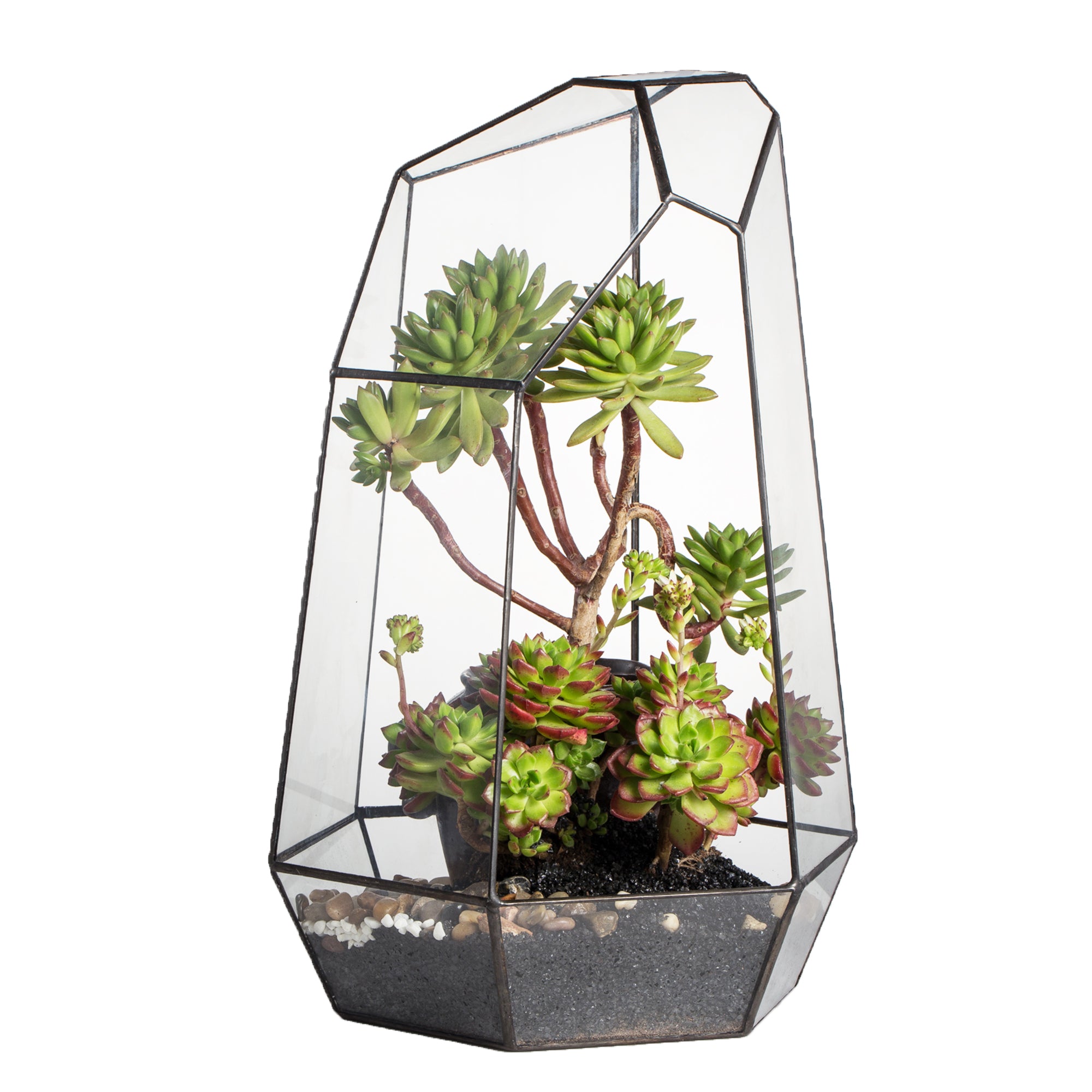 Handmade 41cm / 16" Tall Irregular Open Glass Geometric Terrarium Box for Succulent Moss  Airplants - NCYPgarden