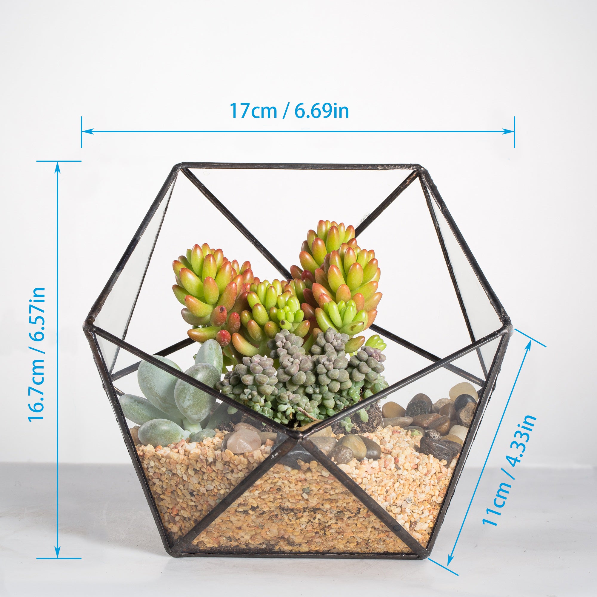 Handmade Bowl Shape Geometric Glass Terrarium Pot for Plants Succulent Moss Miniature Airplants - NCYPgarden