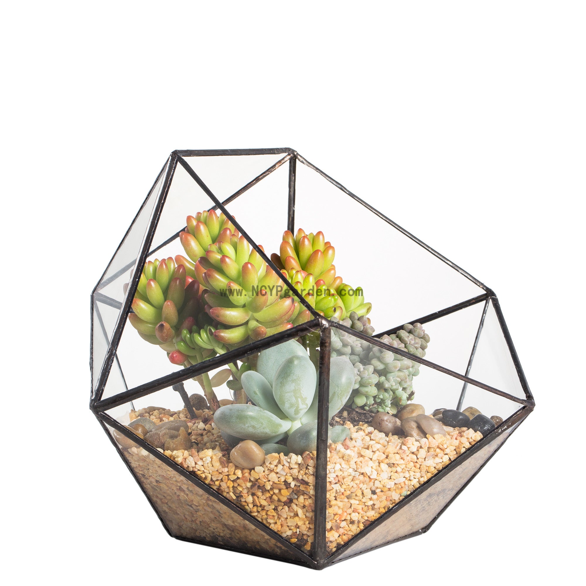 Handmade Bowl Shape Geometric Glass Terrarium Pot for Plants Succulent Moss Miniature Airplants - NCYPgarden