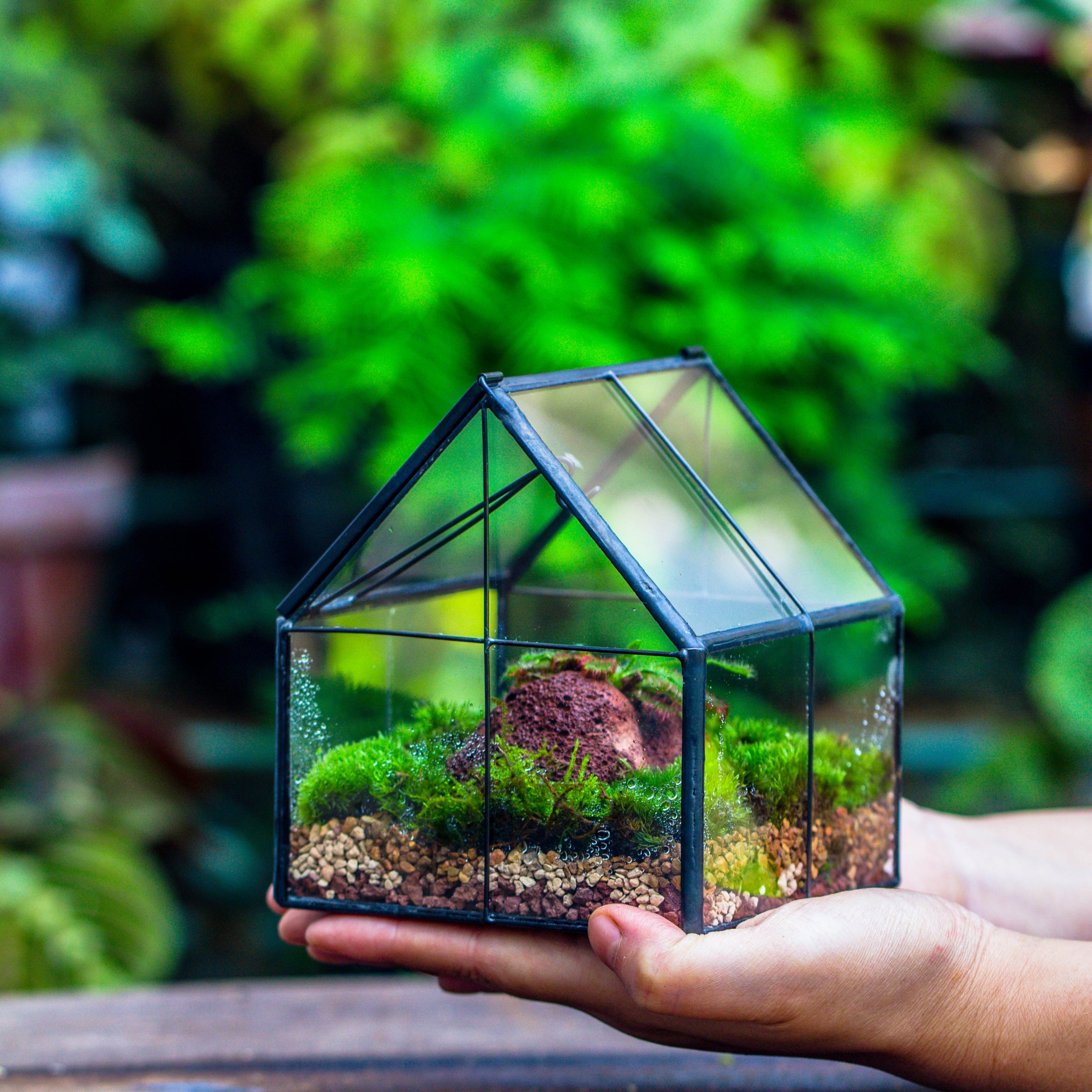 Handmade glass and tin close mini house shape close terrarium for moss, succulents, Drosera - NCYPgarden