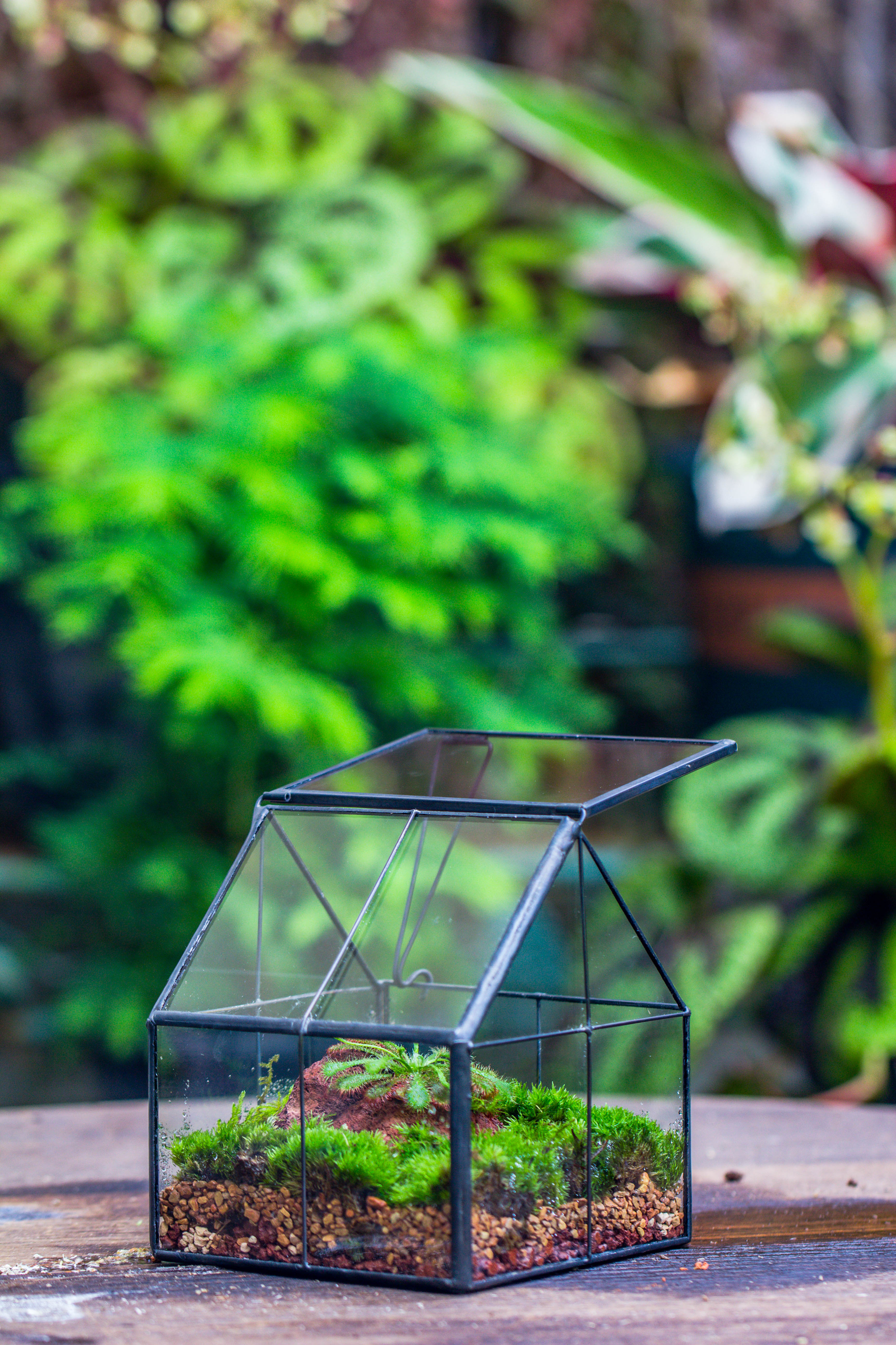 Handmade glass and tin close mini house shape close terrarium for moss, succulents, Drosera - NCYPgarden