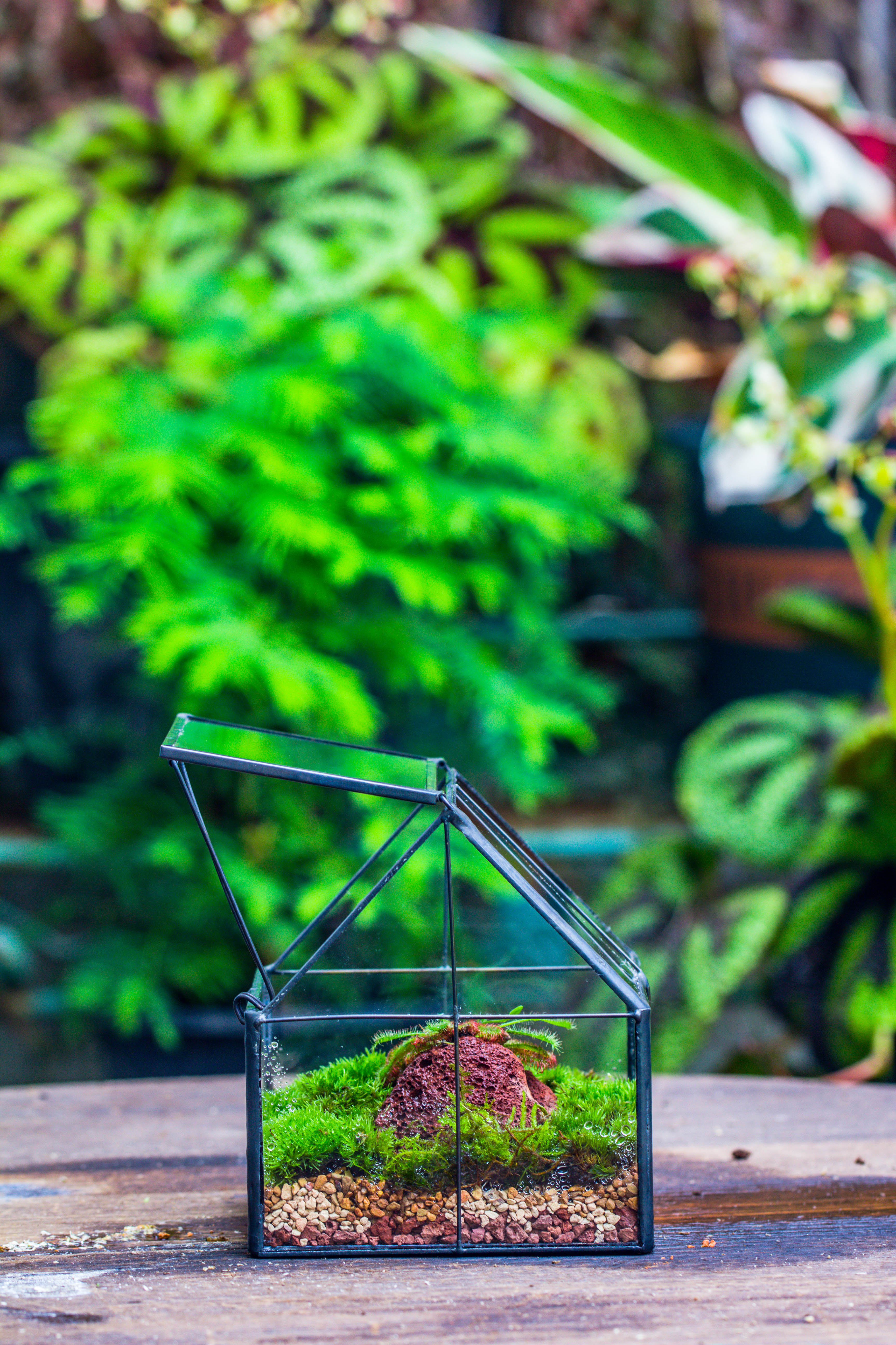 Handmade glass and tin close mini house shape close terrarium for moss, succulents, Drosera - NCYPgarden