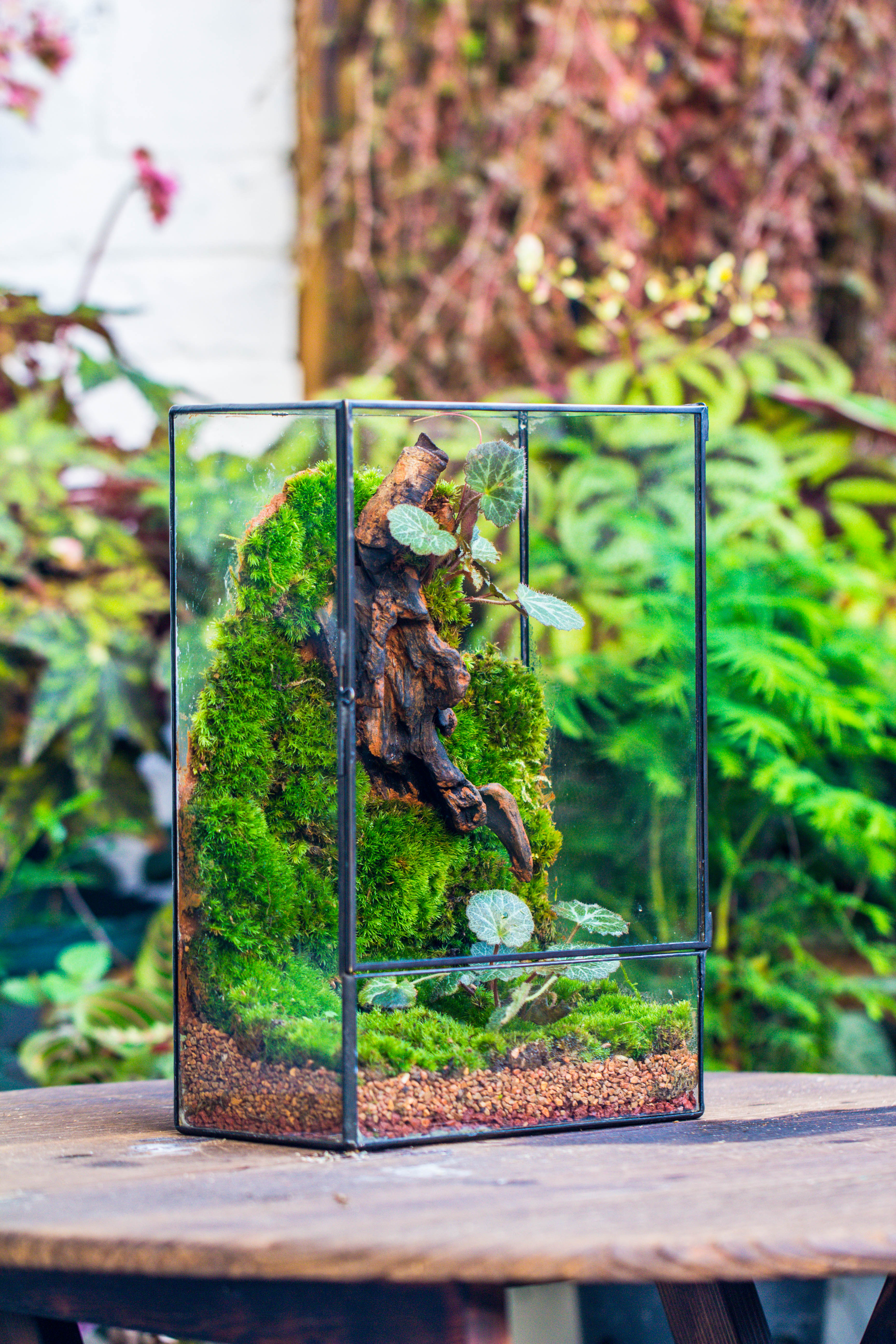 8x12" Close Geometric Glass Terrarium with Door, Tin Sealed Rectangle Tall Planter for Moss Wall, Fern, Landscape multiple size, No plants - NCYPgarden