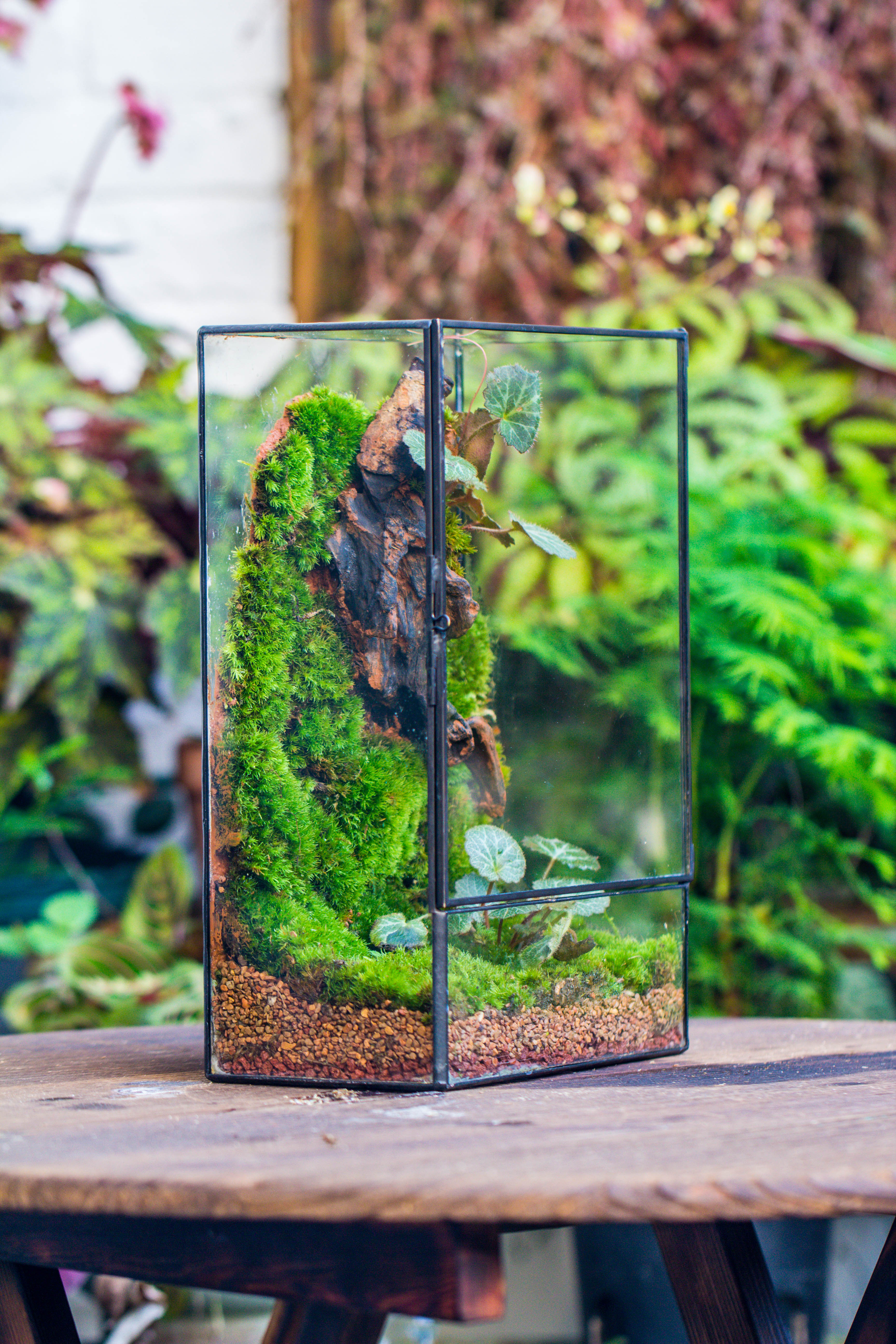 8x12" Close Geometric Glass Terrarium with Door, Tin Sealed Rectangle Tall Planter for Moss Wall, Fern, Landscape multiple size, No plants - NCYPgarden