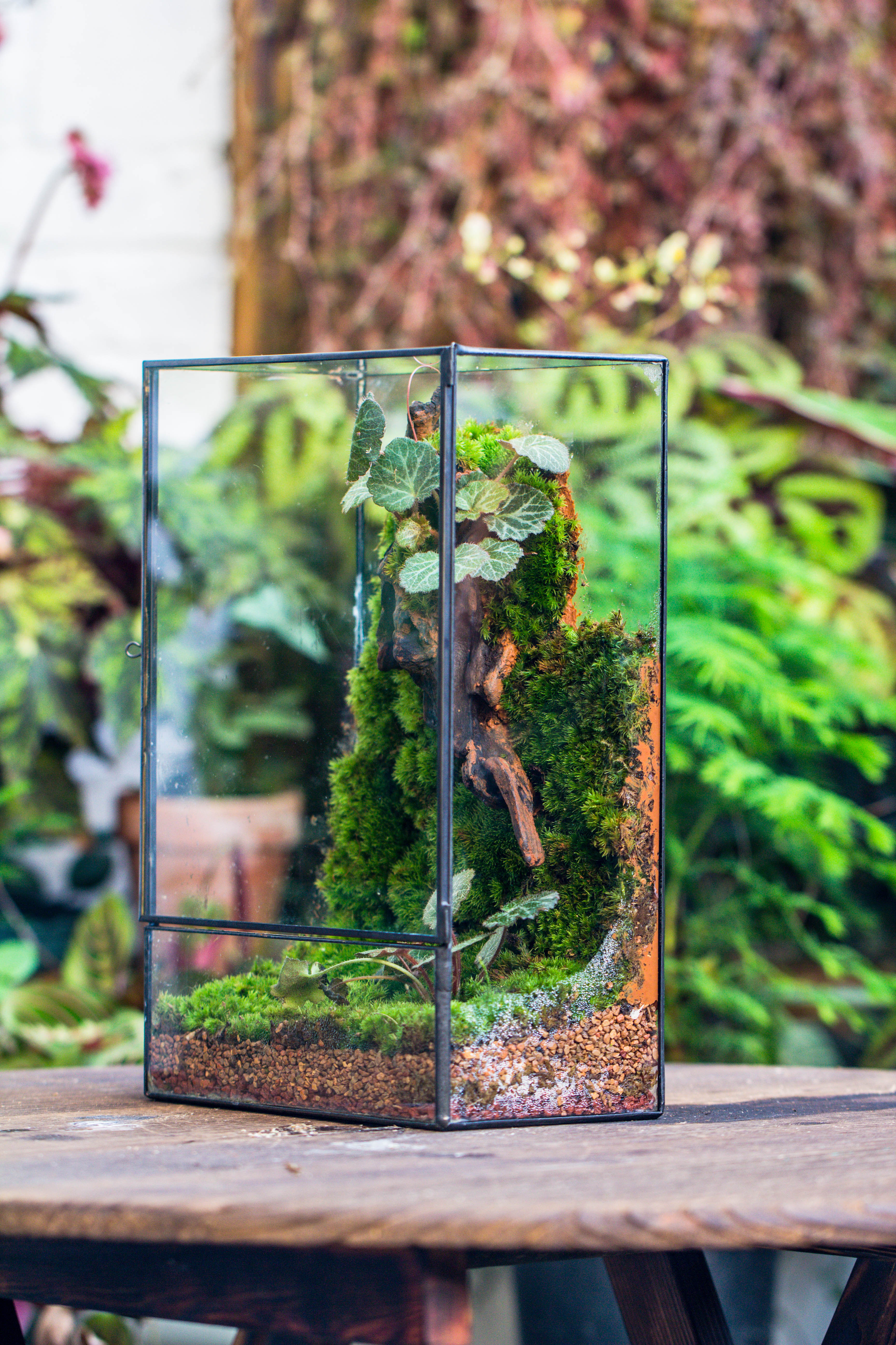 8x12" Close Geometric Glass Terrarium with Door, Tin Sealed Rectangle Tall Planter for Moss Wall, Fern, Landscape multiple size, No plants - NCYPgarden