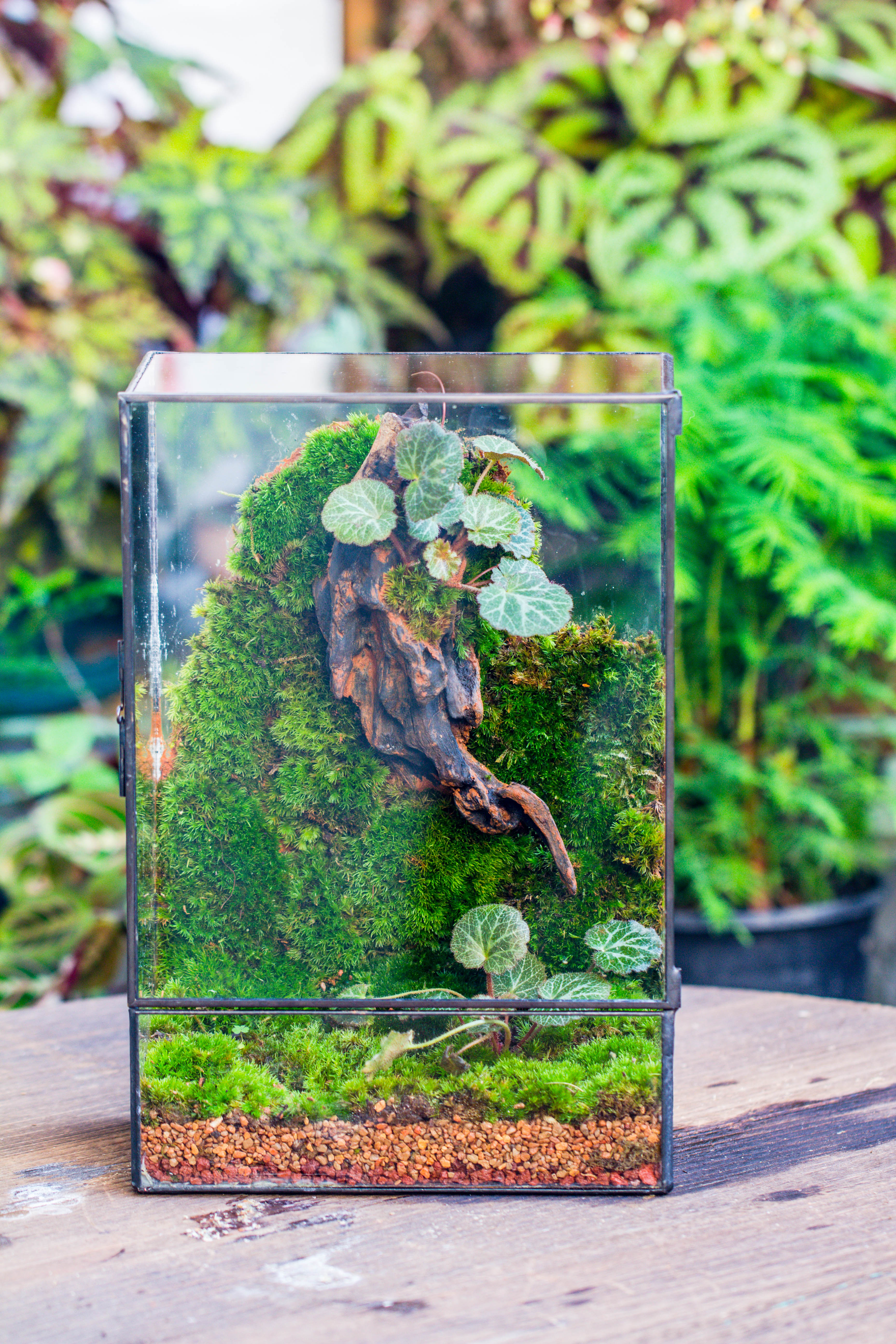 8x12" Close Geometric Glass Terrarium with Door, Tin Sealed Rectangle Tall Planter for Moss Wall, Fern, Landscape multiple size, No plants - NCYPgarden