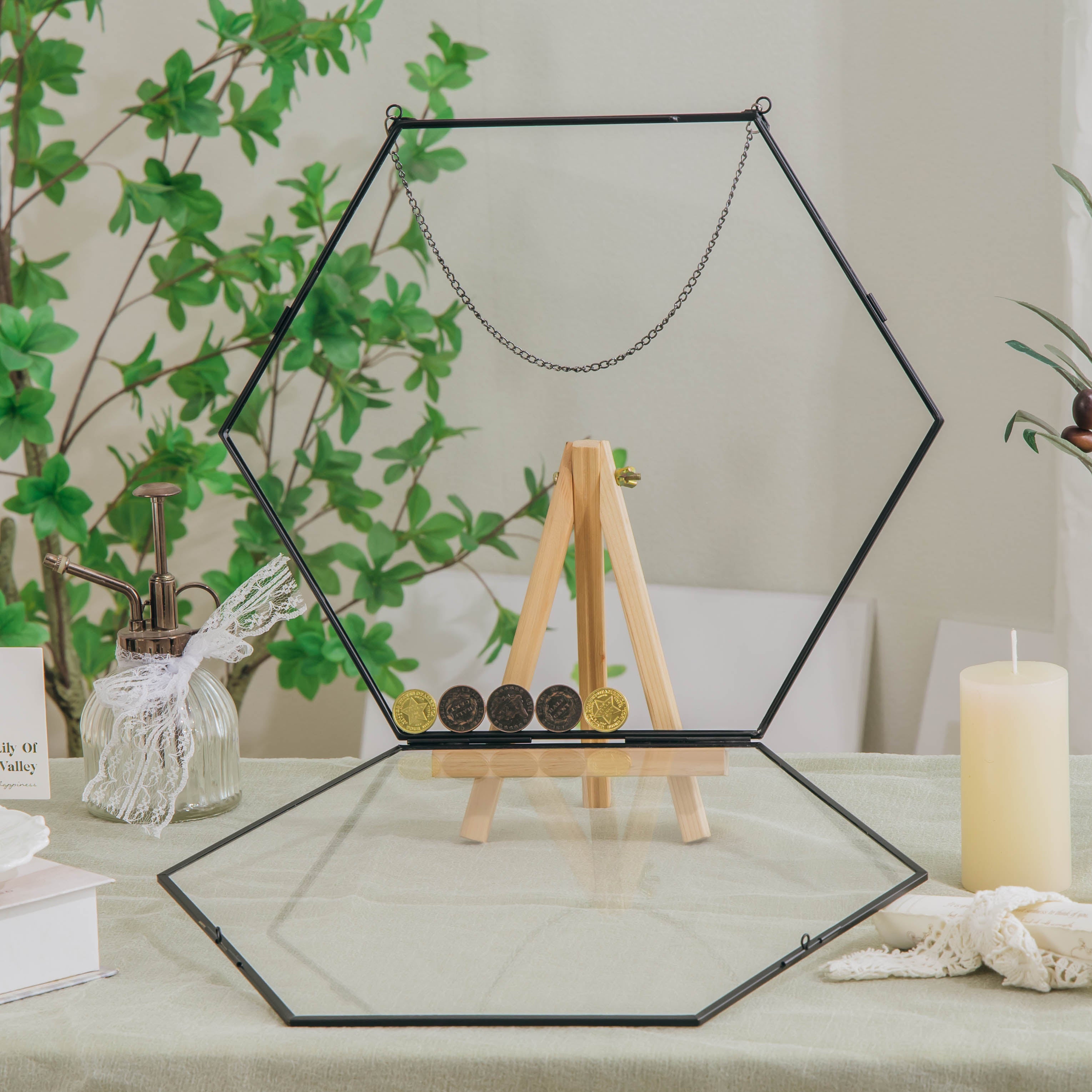 Wall Hanging Black Hexagon 12" Herbarium Brass Glass Frame for Thick Pressed Flowers, Dried Flowers, Poster, Coin, Double Glass, floating - NCYPgarden