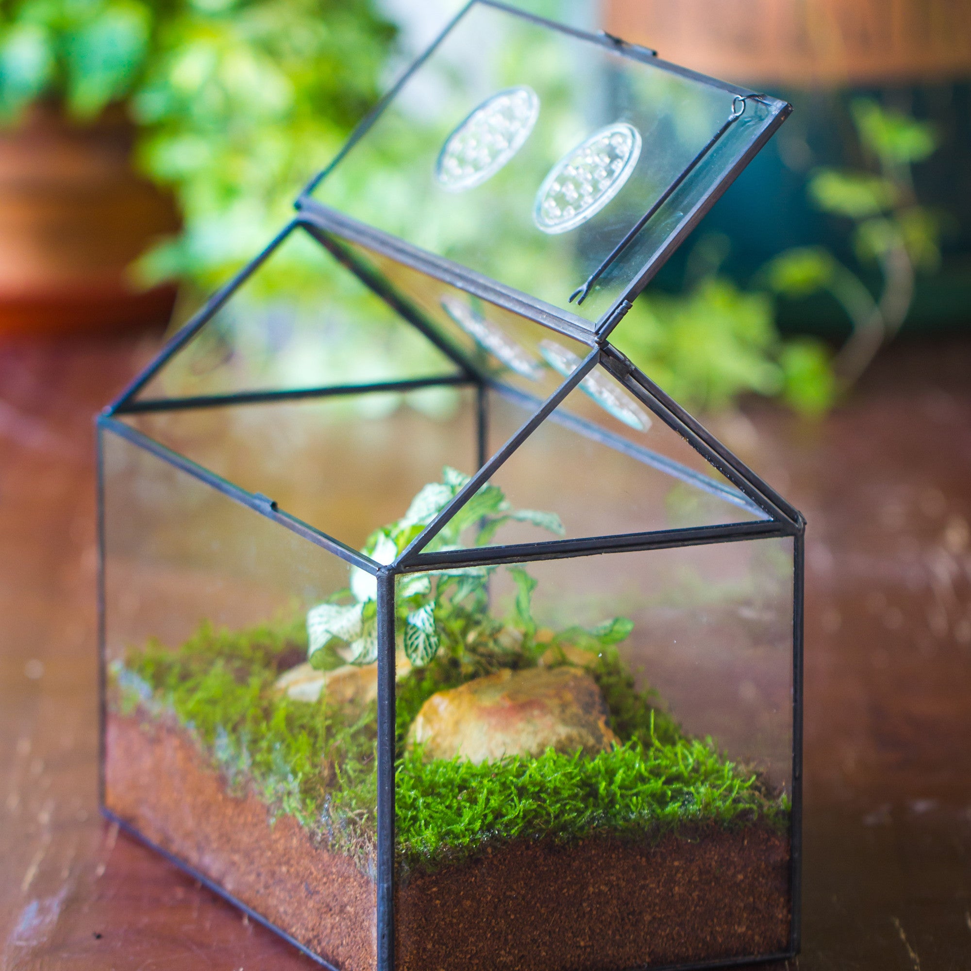 NCYP Handmade Large House Shape Tabletop, Swing Lid Latch Geometric Glass Terrariumn Box - NCYPgarden