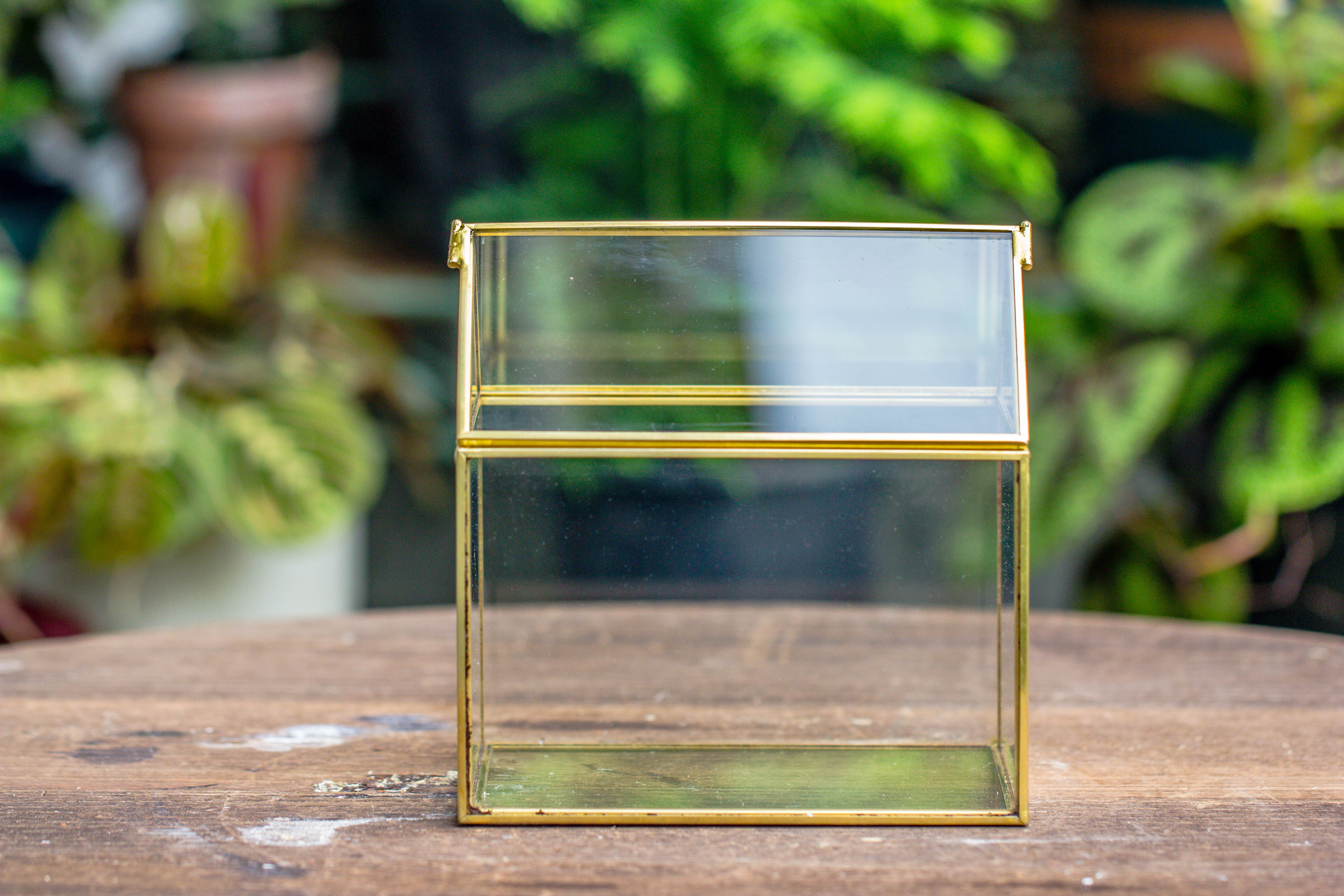 Handmade Black Gold Glass Box Geometric Terrarium with Lid for Planter Container Storage Case Gift - NCYPgarden