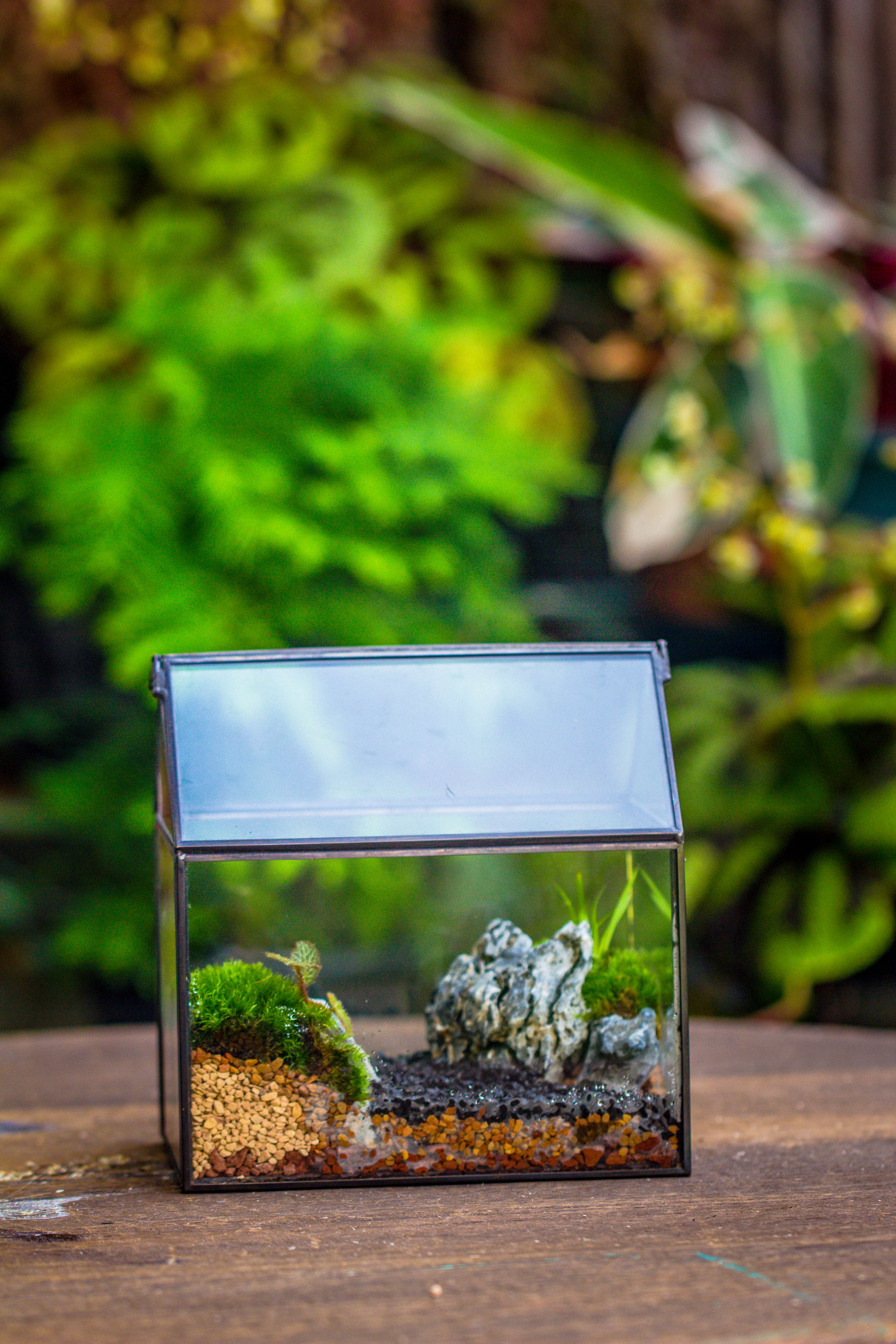 Handmade Black Gold Glass Box Geometric Terrarium with Lid for Planter Container Storage Case Gift - NCYPgarden