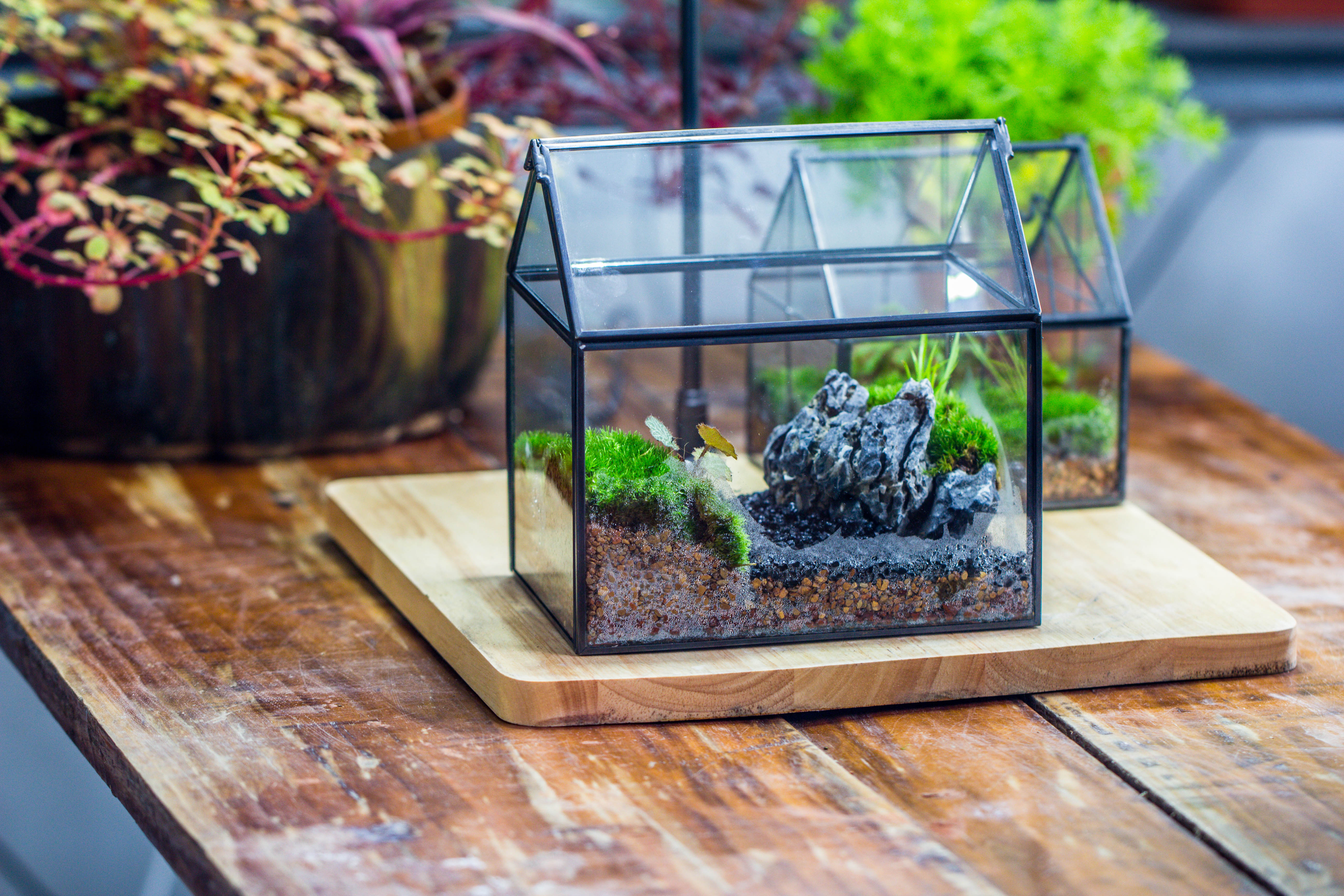 Handmade Black Gold Glass Box Geometric Terrarium with Lid for Planter Container Storage Case Gift - NCYPgarden