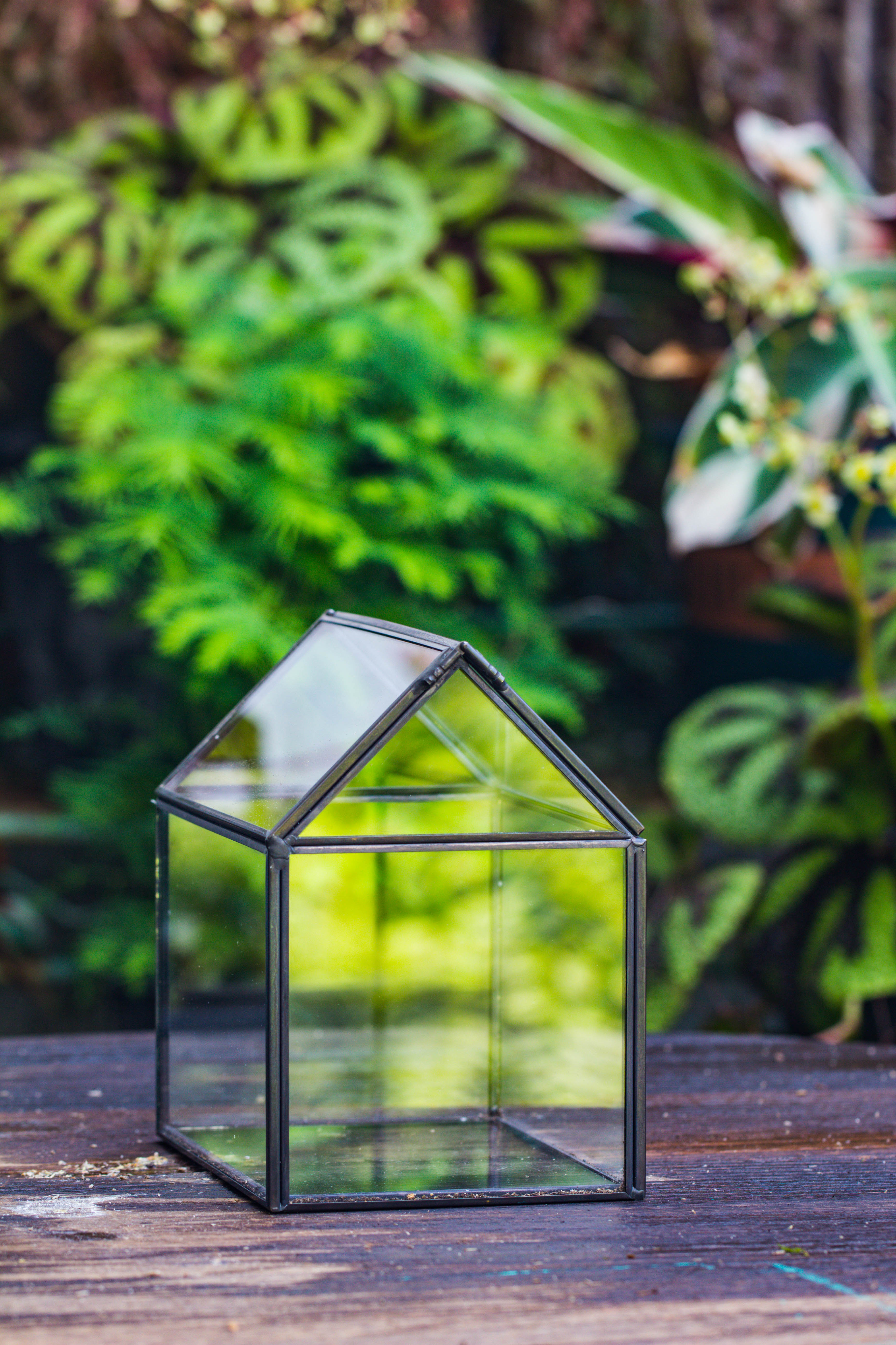 Handmade Black Gold Glass Box Geometric Terrarium with Lid for Planter Container Storage Case Gift - NCYPgarden