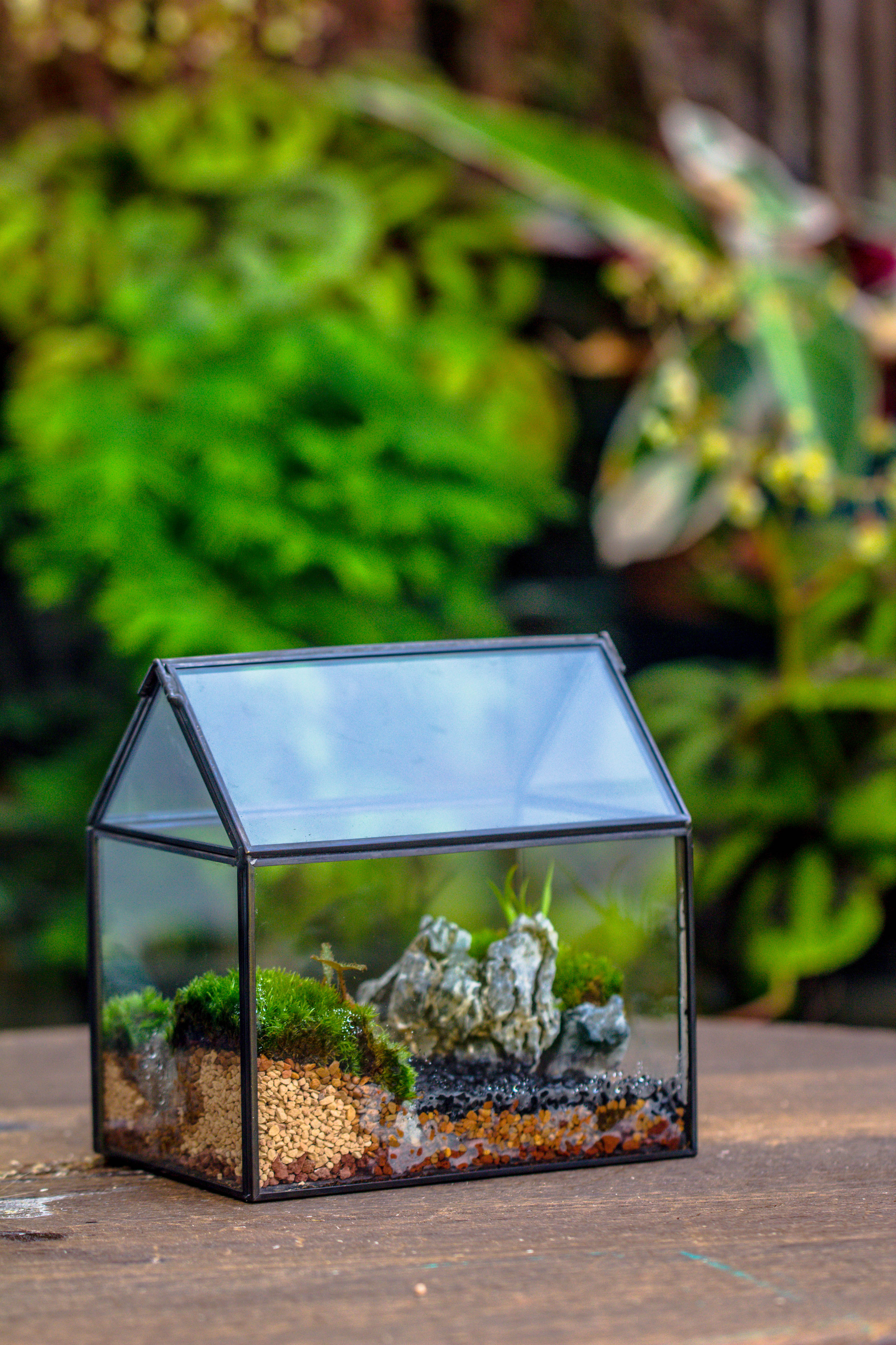 Handmade Black Gold Glass Box Geometric Terrarium with Lid for Planter Container Storage Case Gift - NCYPgarden