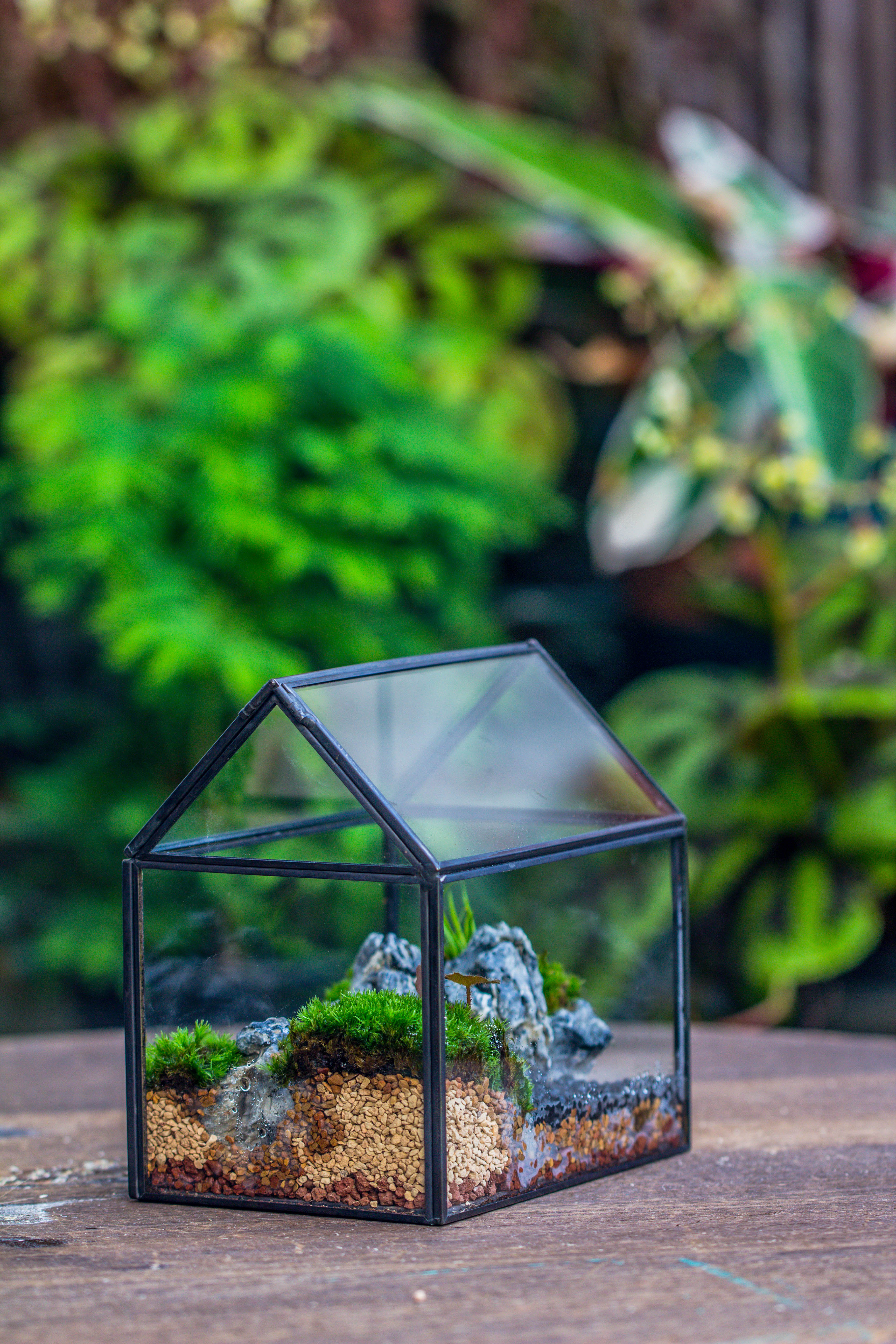 Handmade Black Gold Glass Box Geometric Terrarium with Lid for Planter Container Storage Case Gift - NCYPgarden