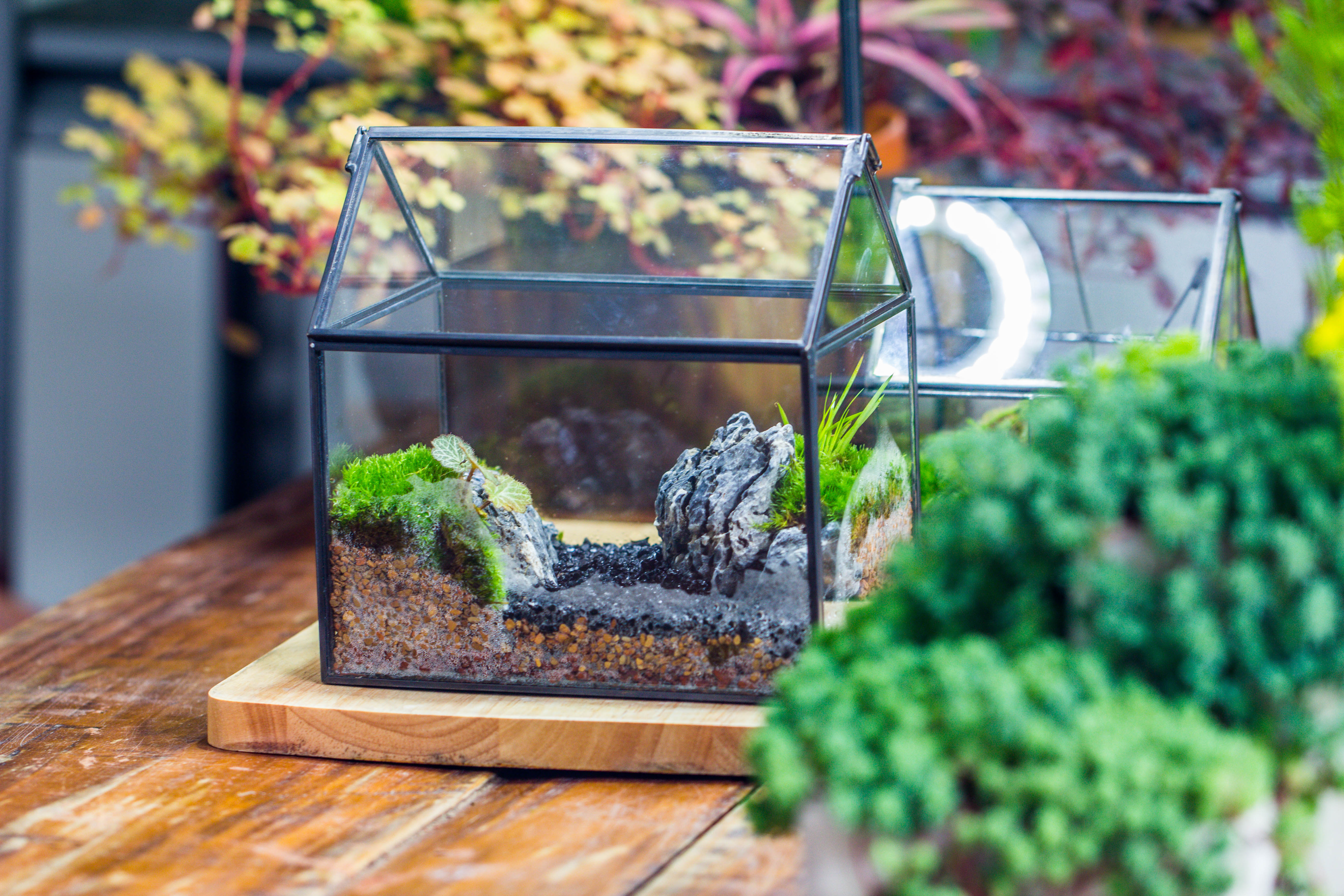 Handmade Black Gold Glass Box Geometric Terrarium with Lid for Planter Container Storage Case Gift - NCYPgarden