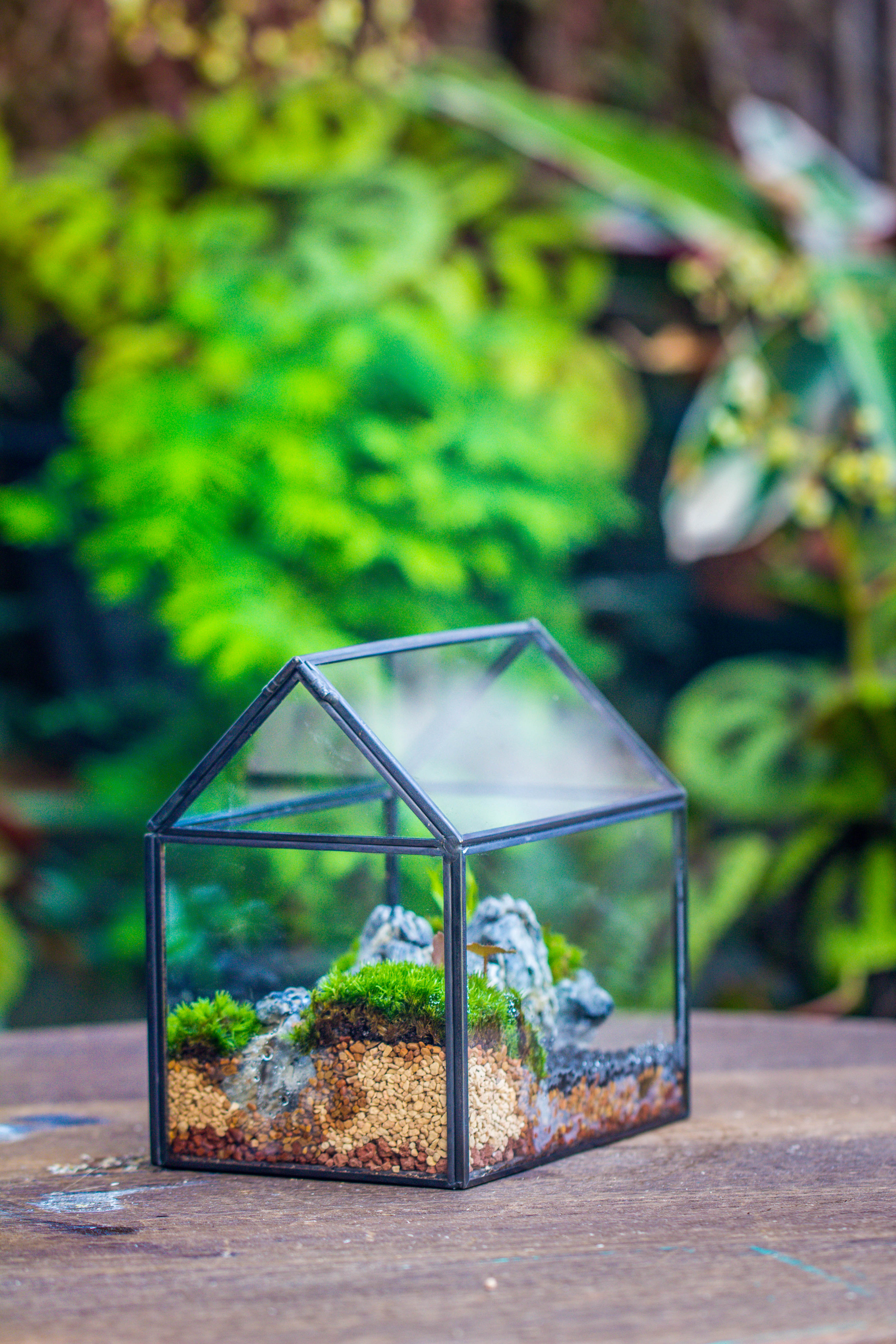 Handmade Black Gold Glass Box Geometric Terrarium with Lid for Planter Container Storage Case Gift - NCYPgarden