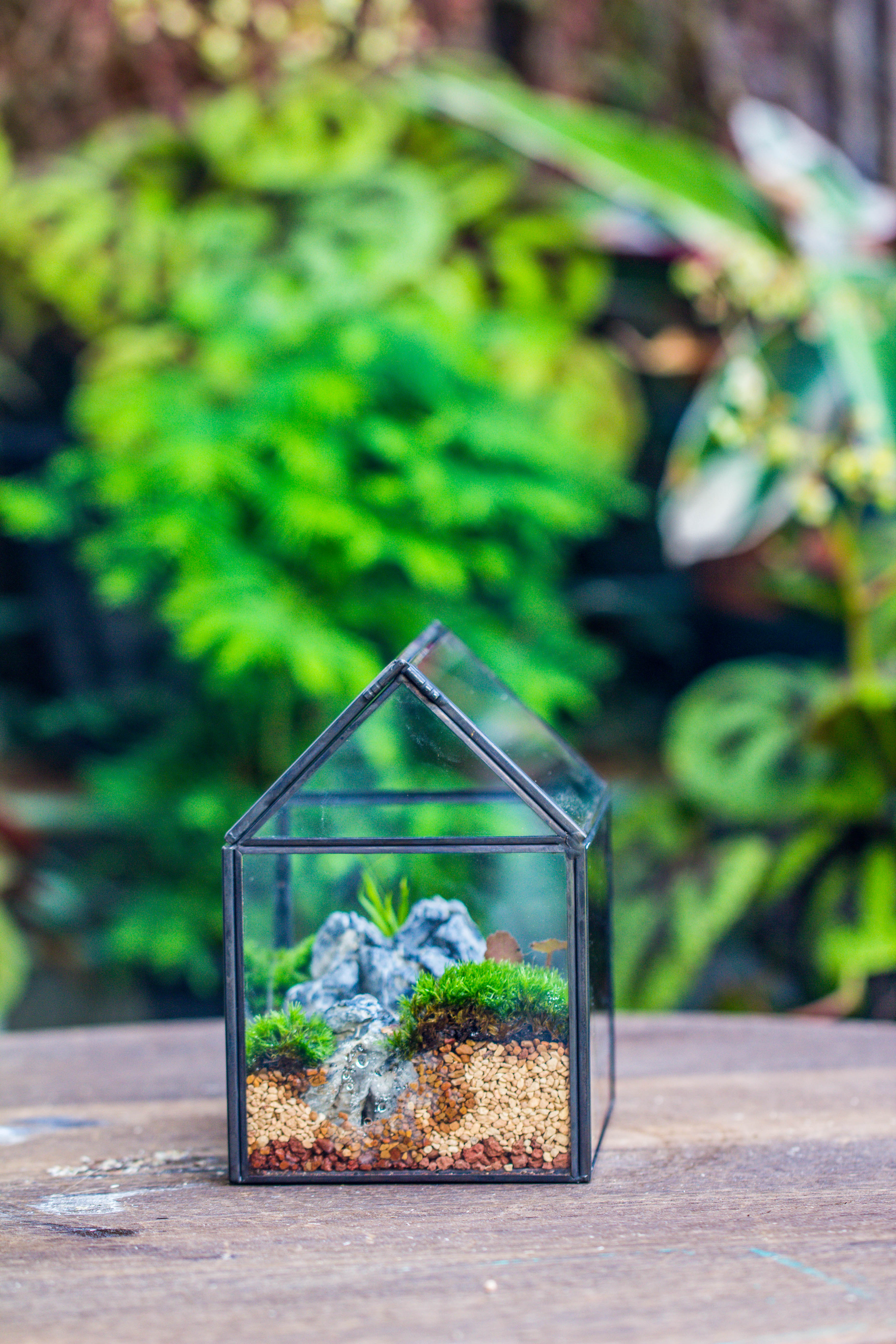 Handmade Black Gold Glass Box Geometric Terrarium with Lid for Planter Container Storage Case Gift - NCYPgarden