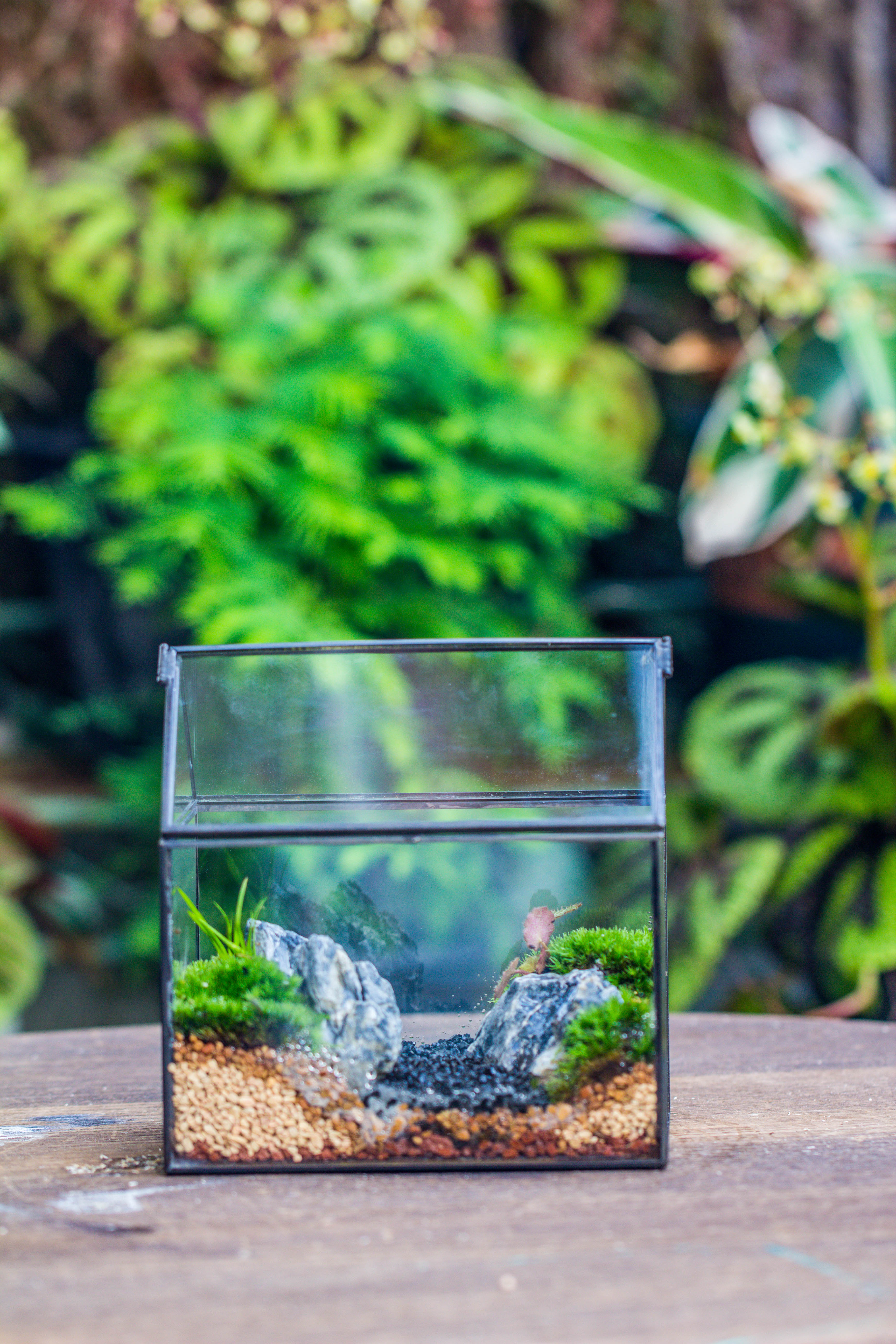 Handmade Black Gold Glass Box Geometric Terrarium with Lid for Planter Container Storage Case Gift - NCYPgarden