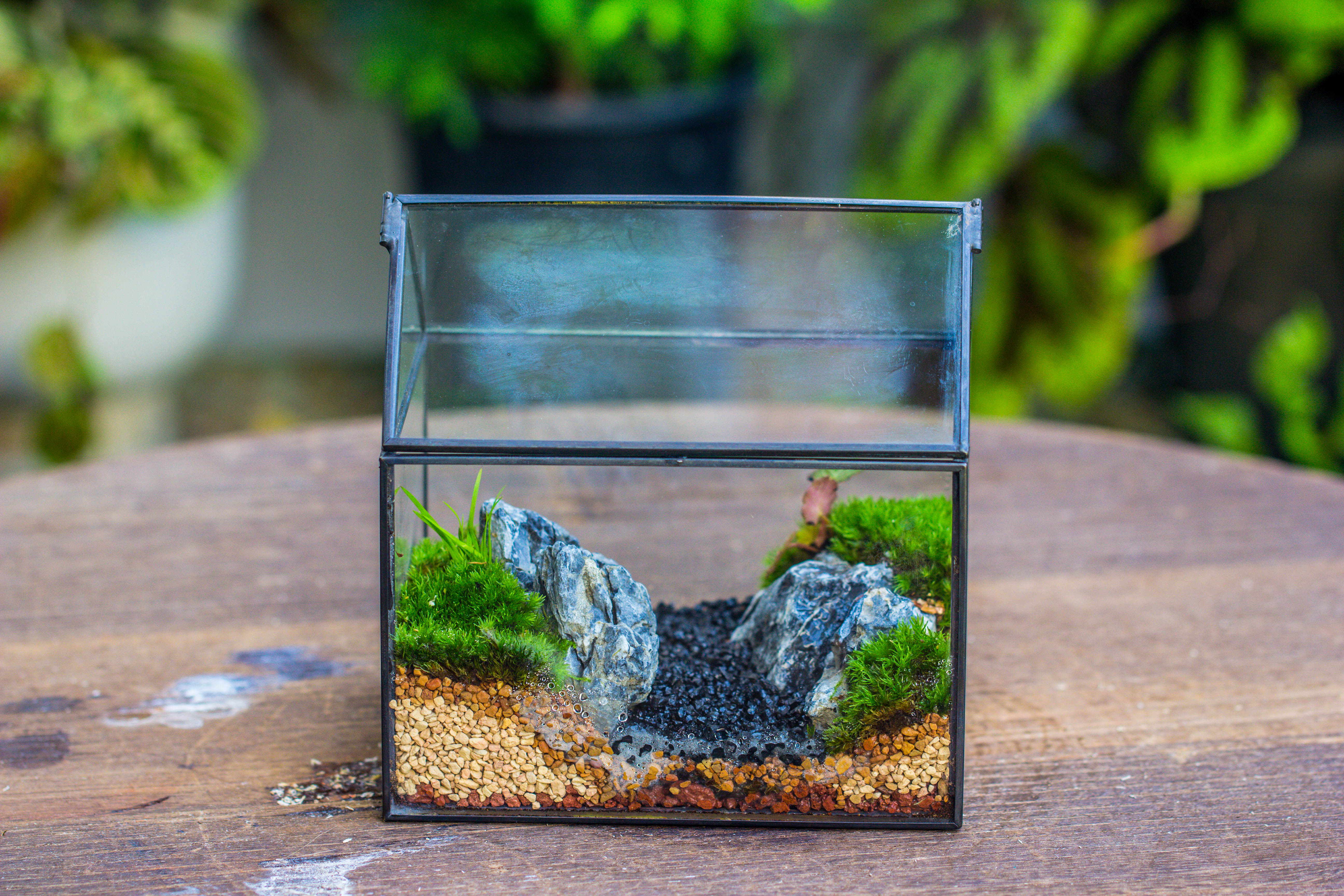 Handmade Black Gold Glass Box Geometric Terrarium with Lid for Planter Container Storage Case Gift - NCYPgarden