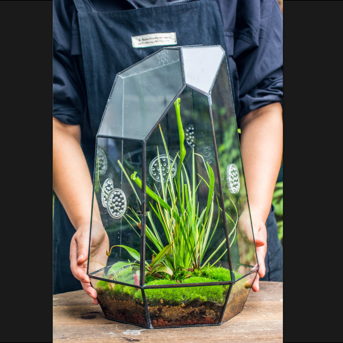 Handmade 41cm / 16" Tall IrregularGlass Geometric Terrarium Box with Vent - NCYPgarden