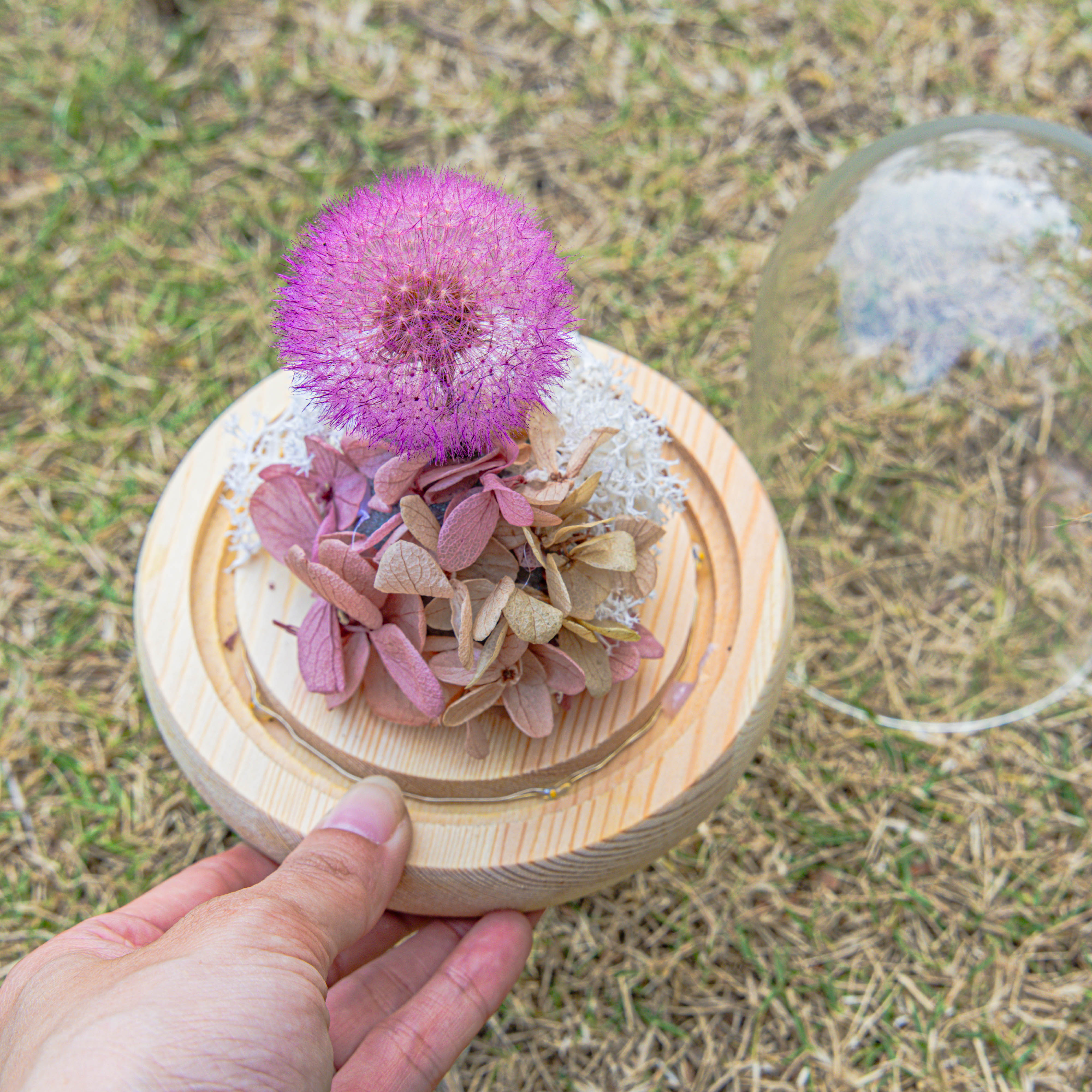 Purple Presered Dandelion Set 3 pcs Dried Flowers, DIY Material for Bouquet, - NCYPgarden