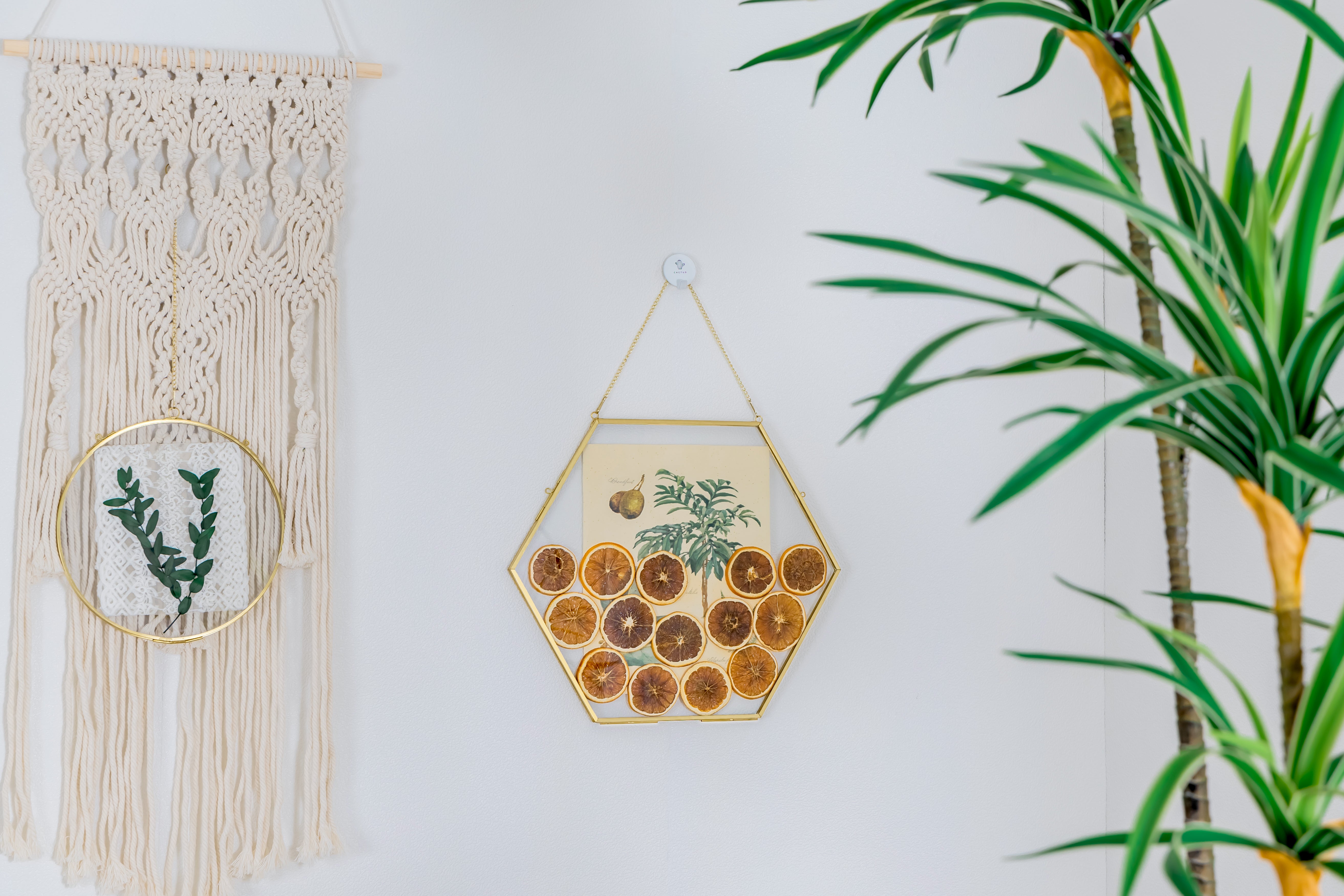 Wall Hanging Hexagon 12" Herbarium Brass Glass Frame for Thick Pressed Flowers, Dried Flowers, Poster, Coin, Double Glass, floating Frame - NCYPgarden