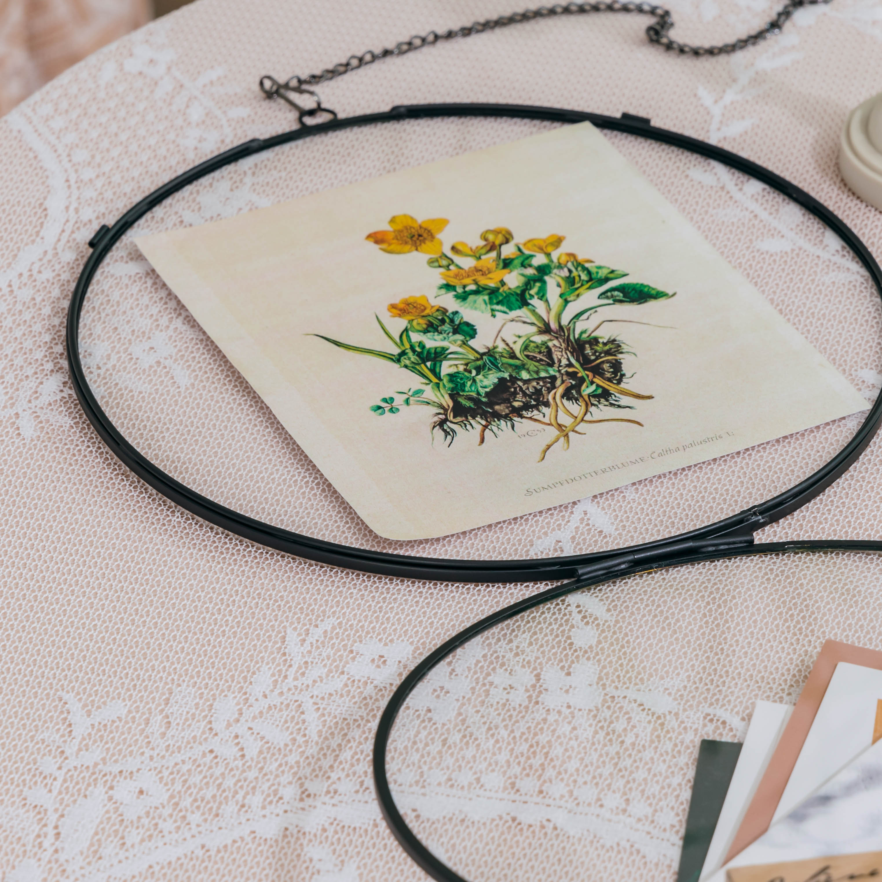 Wall Hanging Black Round 8" Herbarium Brass Glass Frame for Thick Pressed Flowers, Dried Flowers, Poster, Coin, Double Glass, floating Frame - NCYPgarden