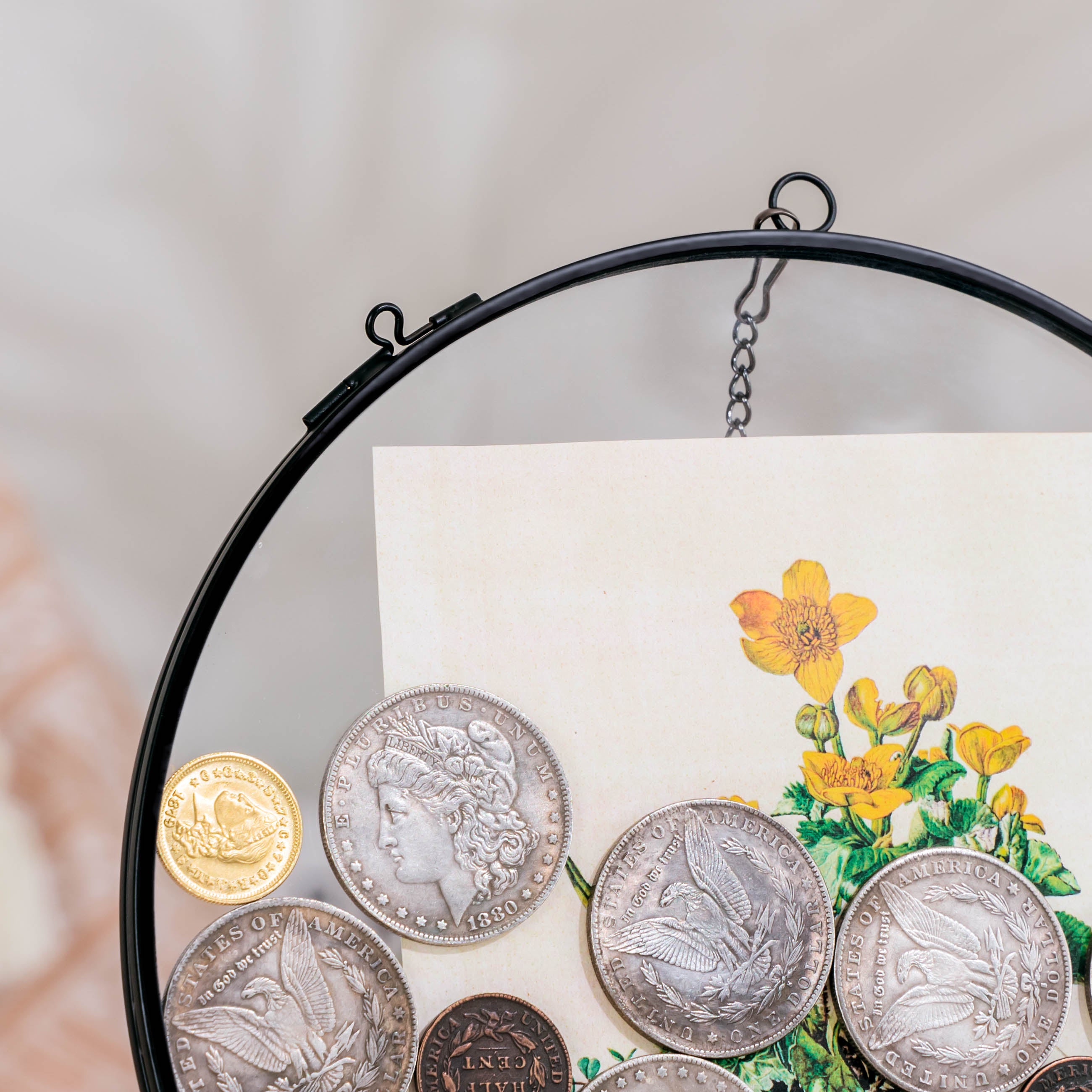 Wall Hanging Black Round 8" Herbarium Brass Glass Frame for Thick Pressed Flowers, Dried Flowers, Poster, Coin, Double Glass, floating Frame - NCYPgarden