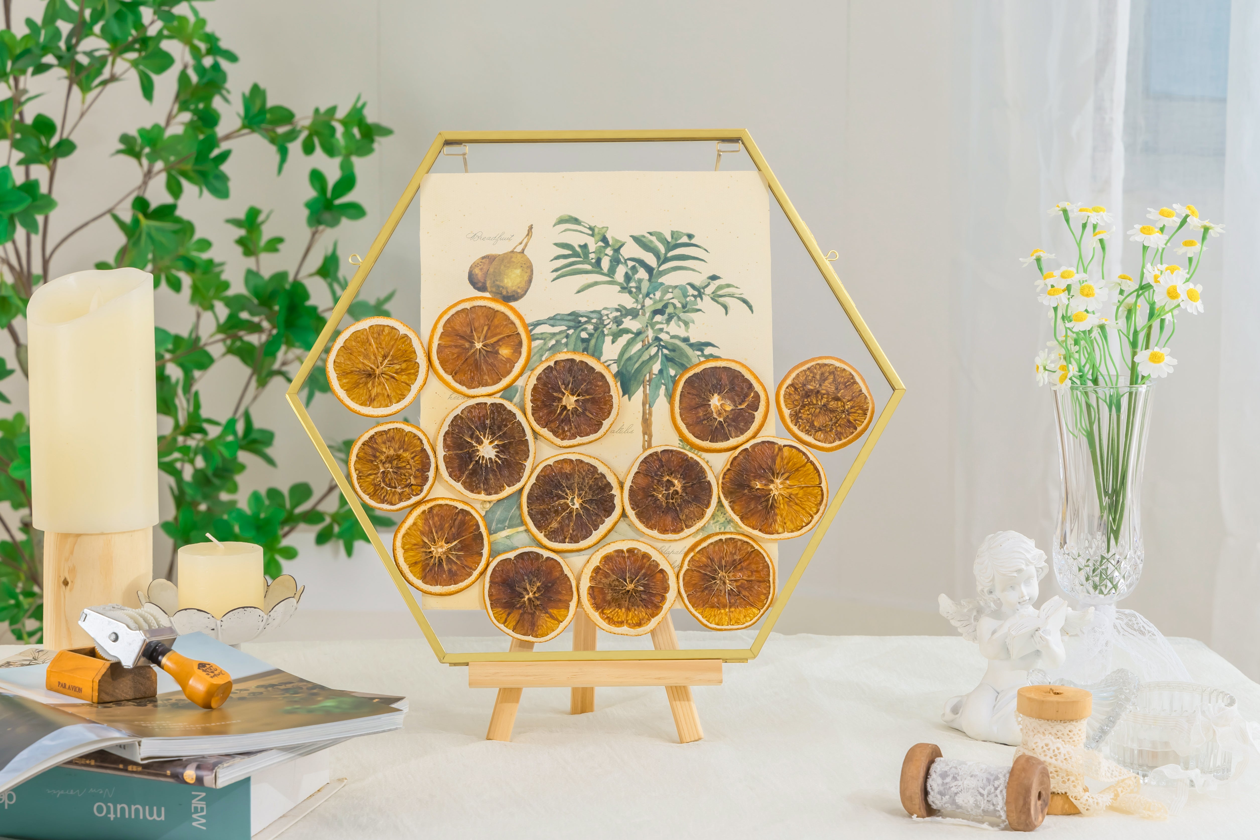 Wall Hanging Hexagon 12" Herbarium Brass Glass Frame for Thick Pressed Flowers, Dried Flowers, Poster, Coin, Double Glass, floating Frame - NCYPgarden