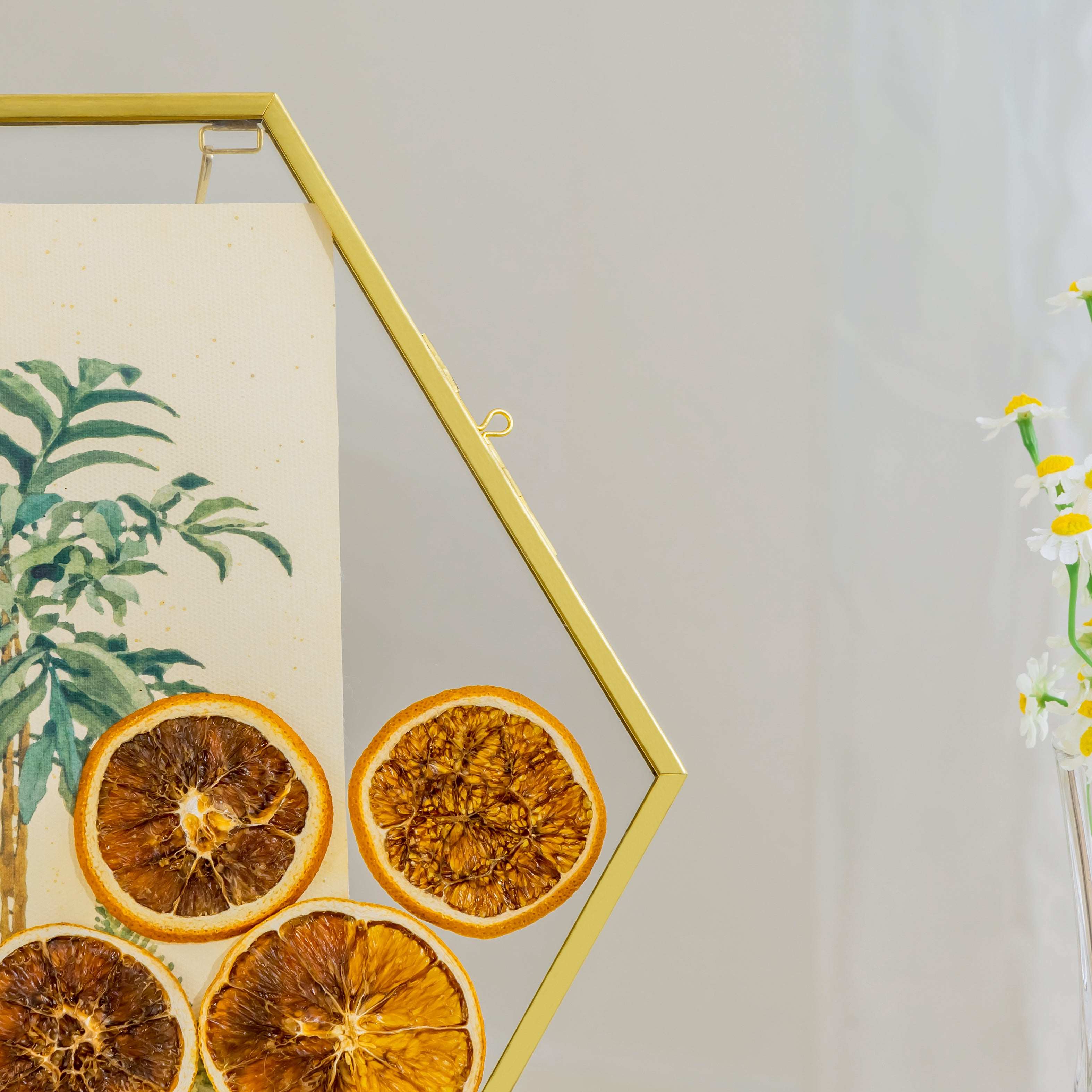 Wall Hanging Hexagon 12" Herbarium Brass Glass Frame for Thick Pressed Flowers, Dried Flowers, Poster, Coin, Double Glass, floating Frame - NCYPgarden