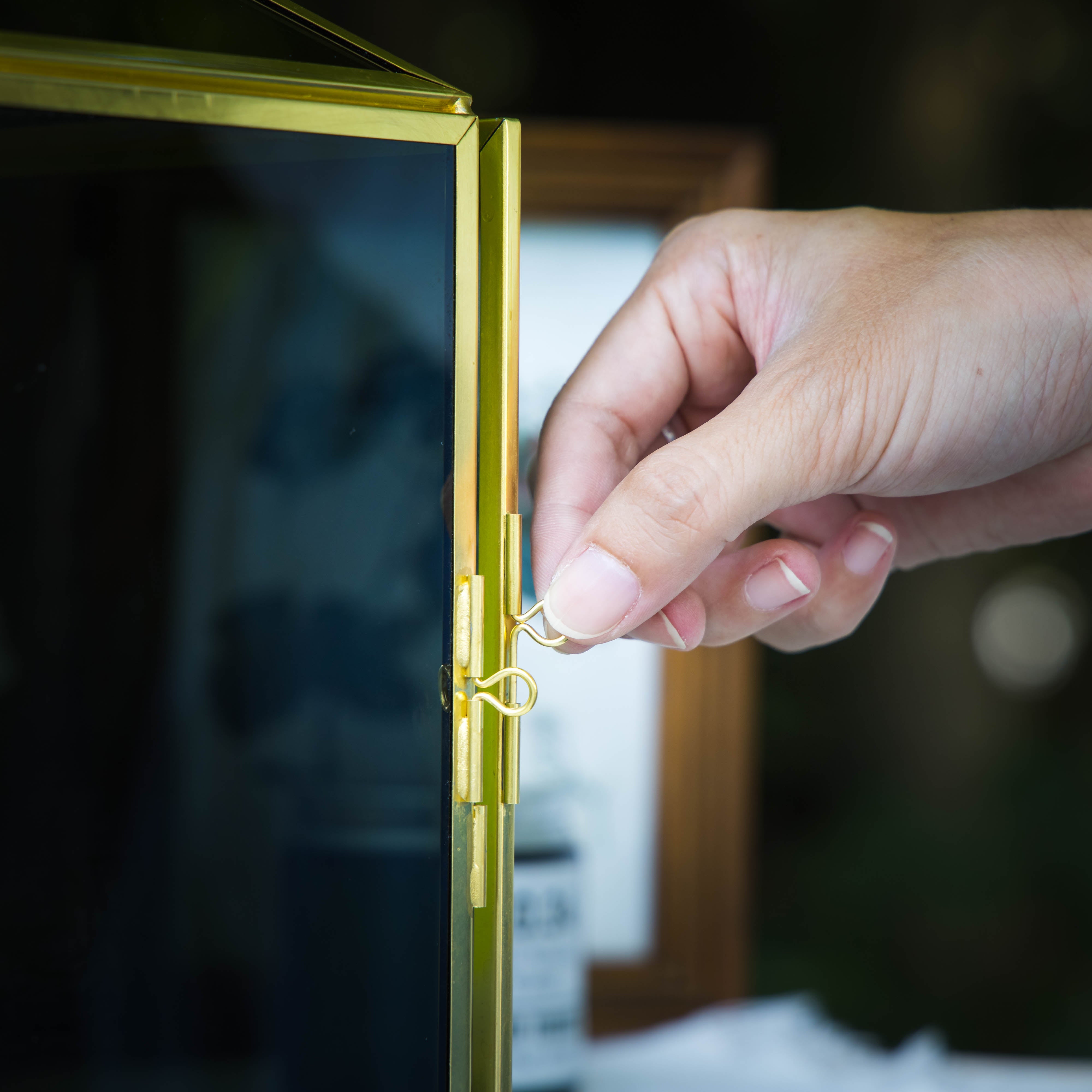 Handmade Black and Gold Large Geometric Glass Donation Box Terrarium with Slot and Lock - NCYPgarden