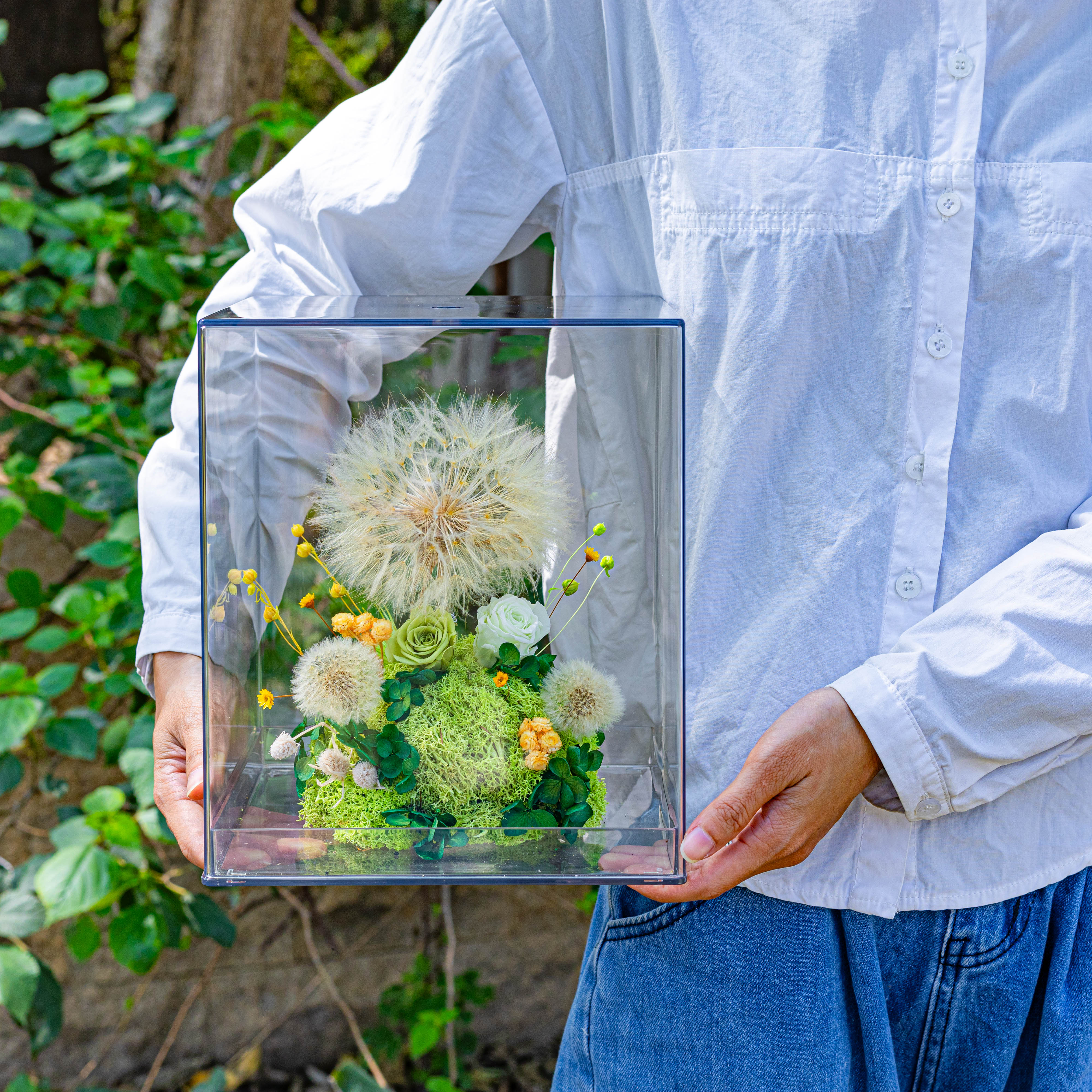 Super Large Diameter 11cm / 4.3 Presered Dandelion Dried Flowers, DIY Material for Bouquet, - NCYPgarden