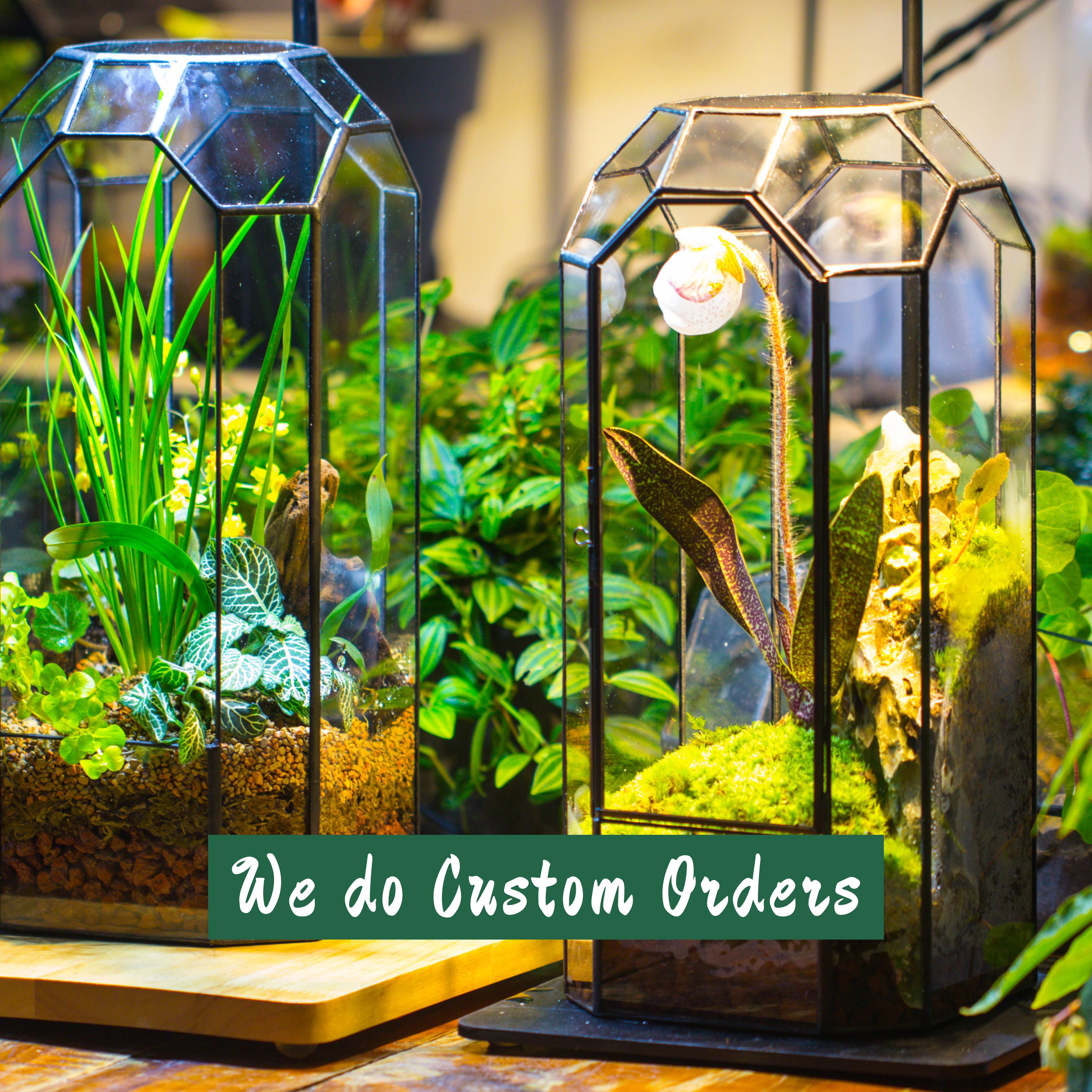 I accept custom orders for Geometric Glass  Box, Frame, Terrarium - NCYPgarden