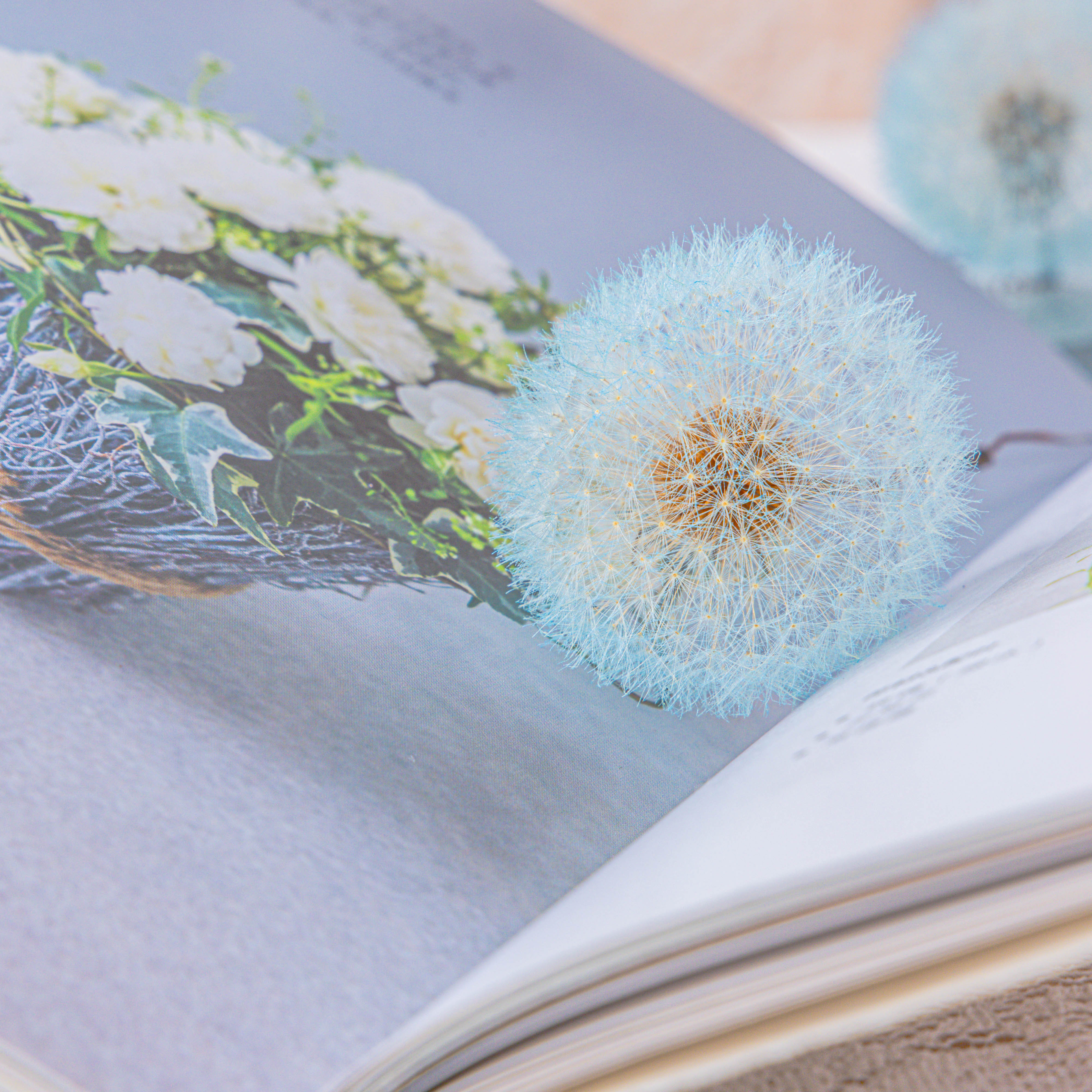 Sky Blue Presered Dandelion Set 3 pcs Dried Flowers, DIY Material for Bouquet - NCYPgarden