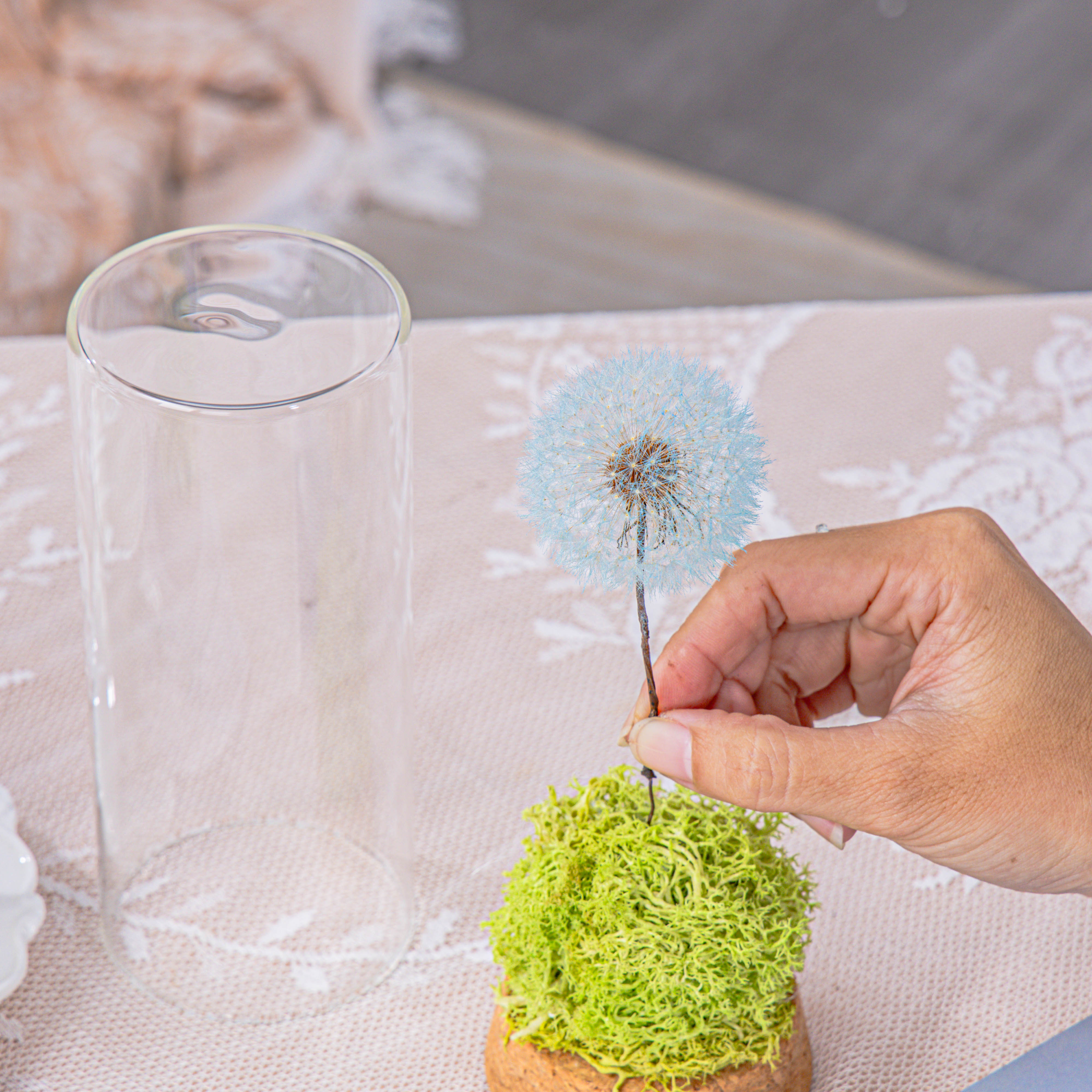 Sky Blue Presered Dandelion Set 3 pcs Dried Flowers, DIY Material for Bouquet - NCYPgarden