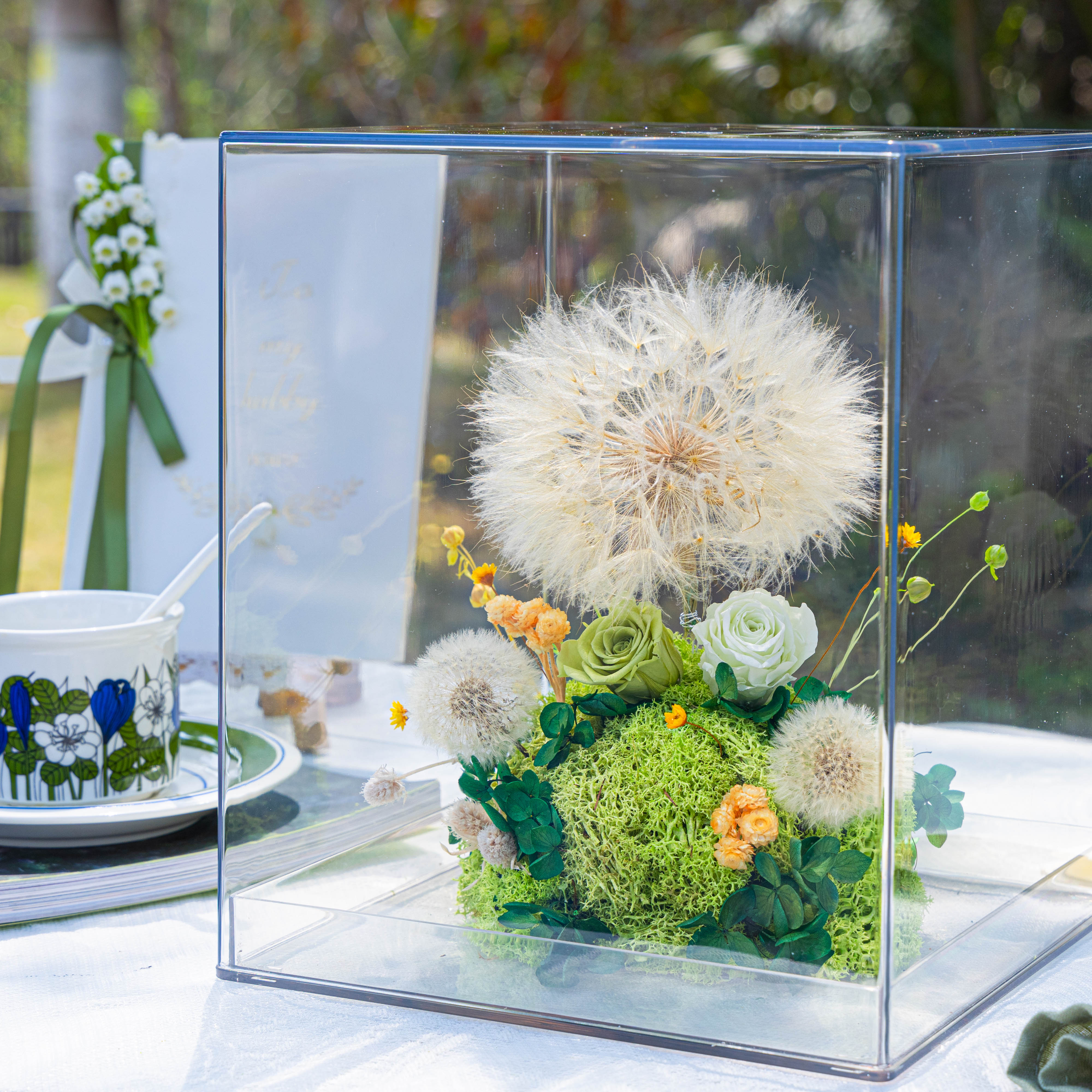 Super Large Diameter 11cm / 4.3 Presered Dandelion Dried Flowers, DIY Material for Bouquet, - NCYPgarden