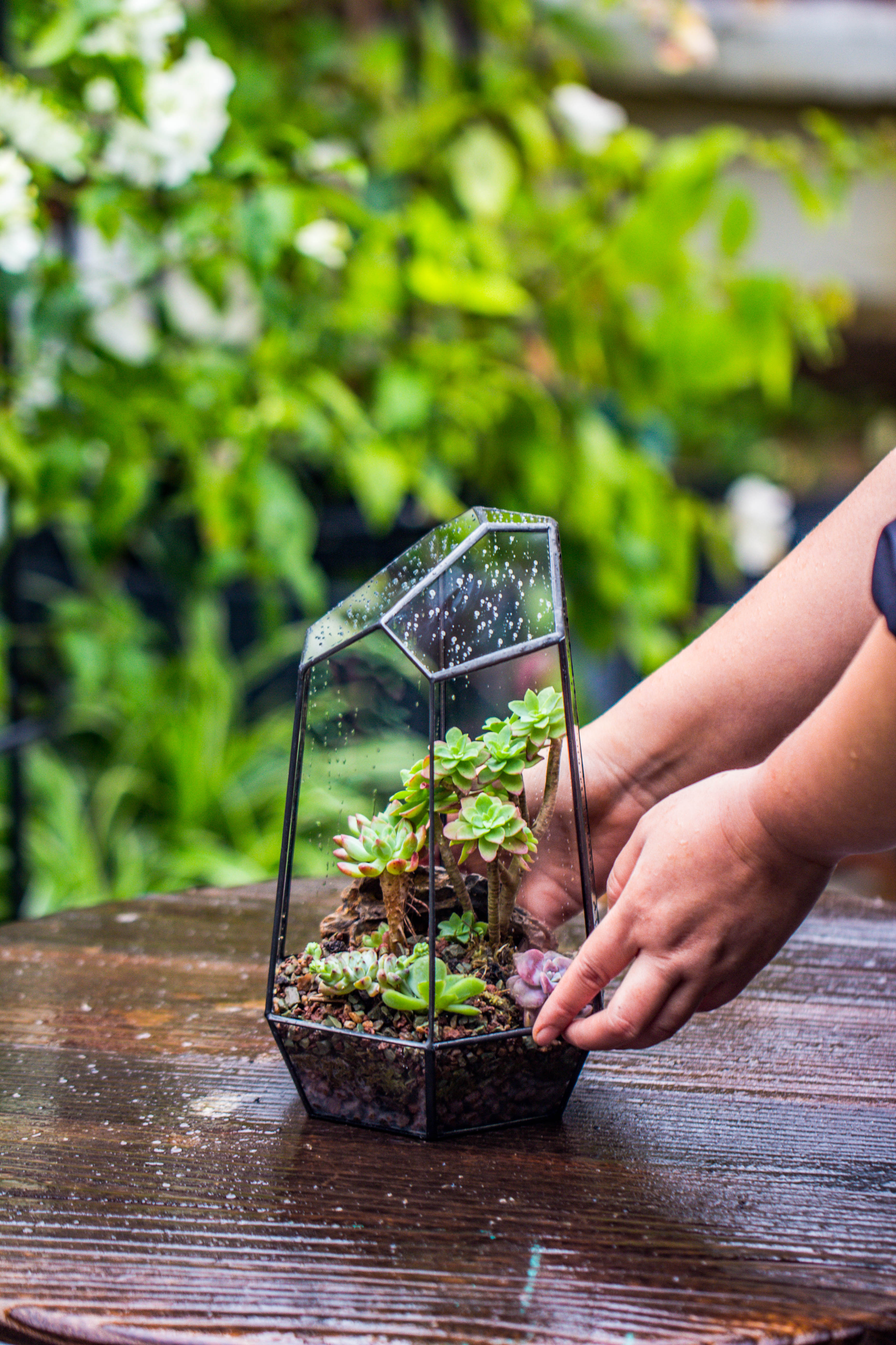 Handmade Irregular Tall Black Glass Geometric Terrarium Various Size for Succulents Moss Airplants - NCYPgarden