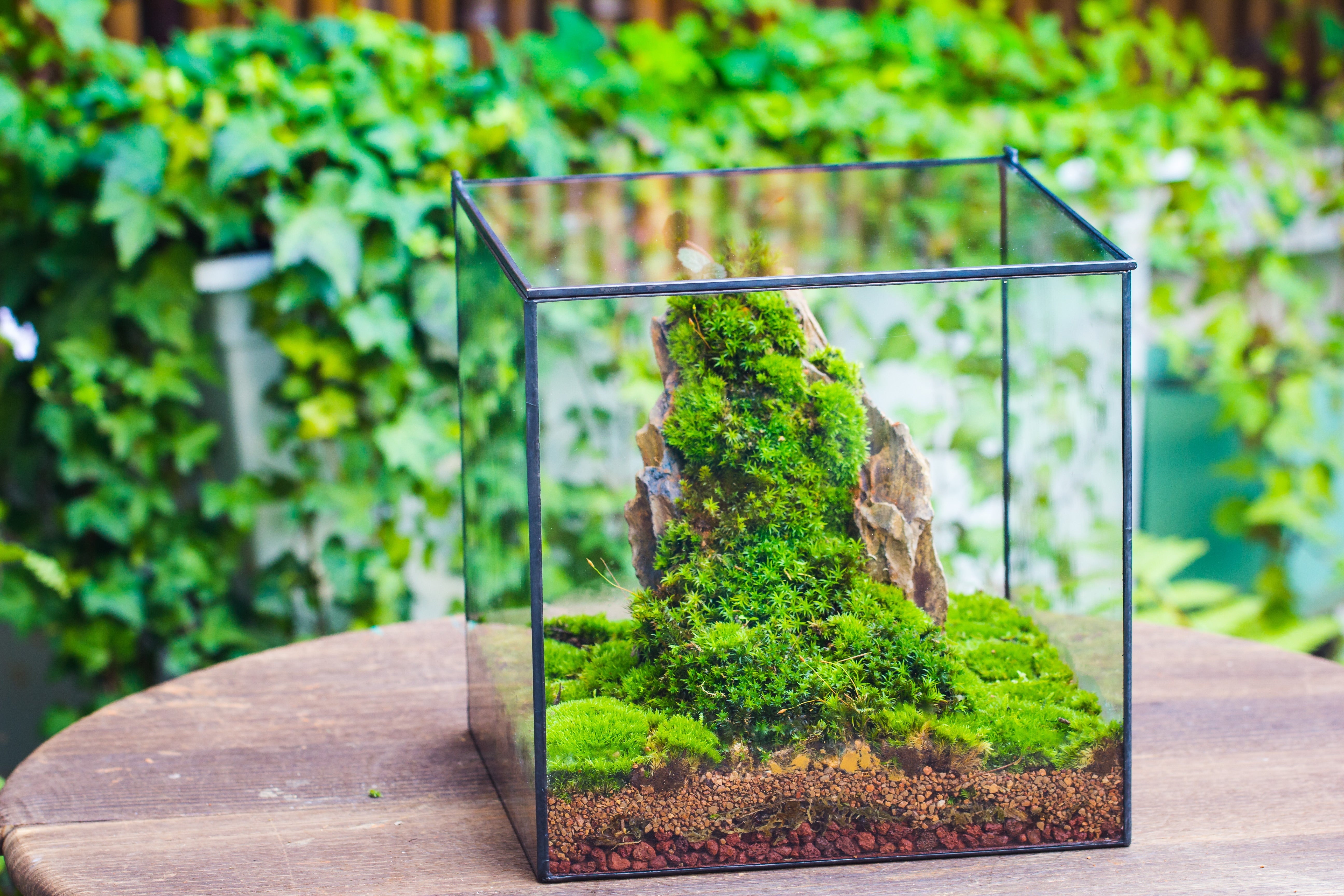 NCYP Basic Rectangle Close Geometric Glass Tin Terrarium, Planter  Multiple Size for Moss Wall, Fern, Landscape multiple size, No plants - NCYPgarden