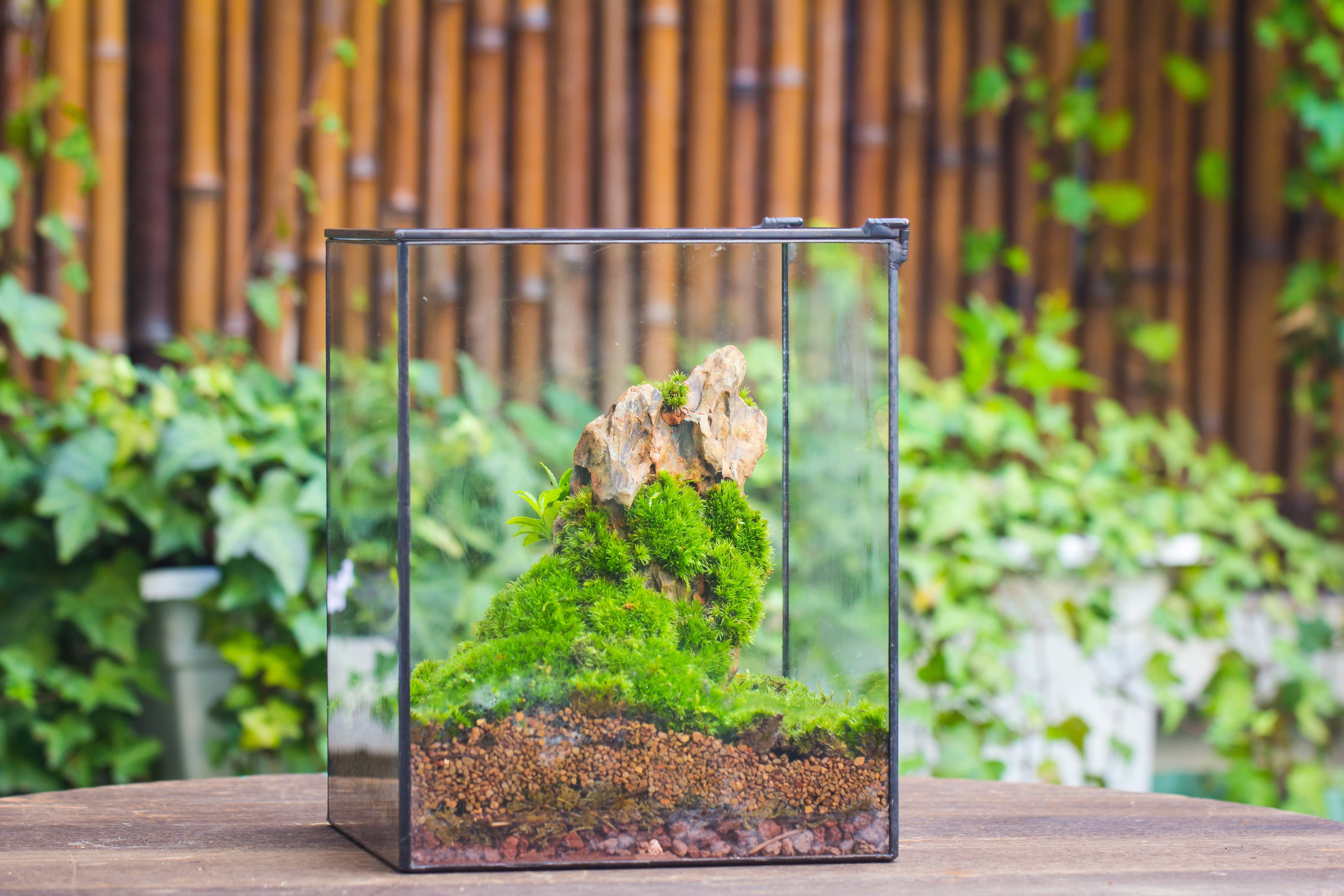 NCYP Basic Rectangle Close Geometric Glass Tin Terrarium, Planter  Multiple Size for Moss Wall, Fern, Landscape multiple size, No plants - NCYPgarden