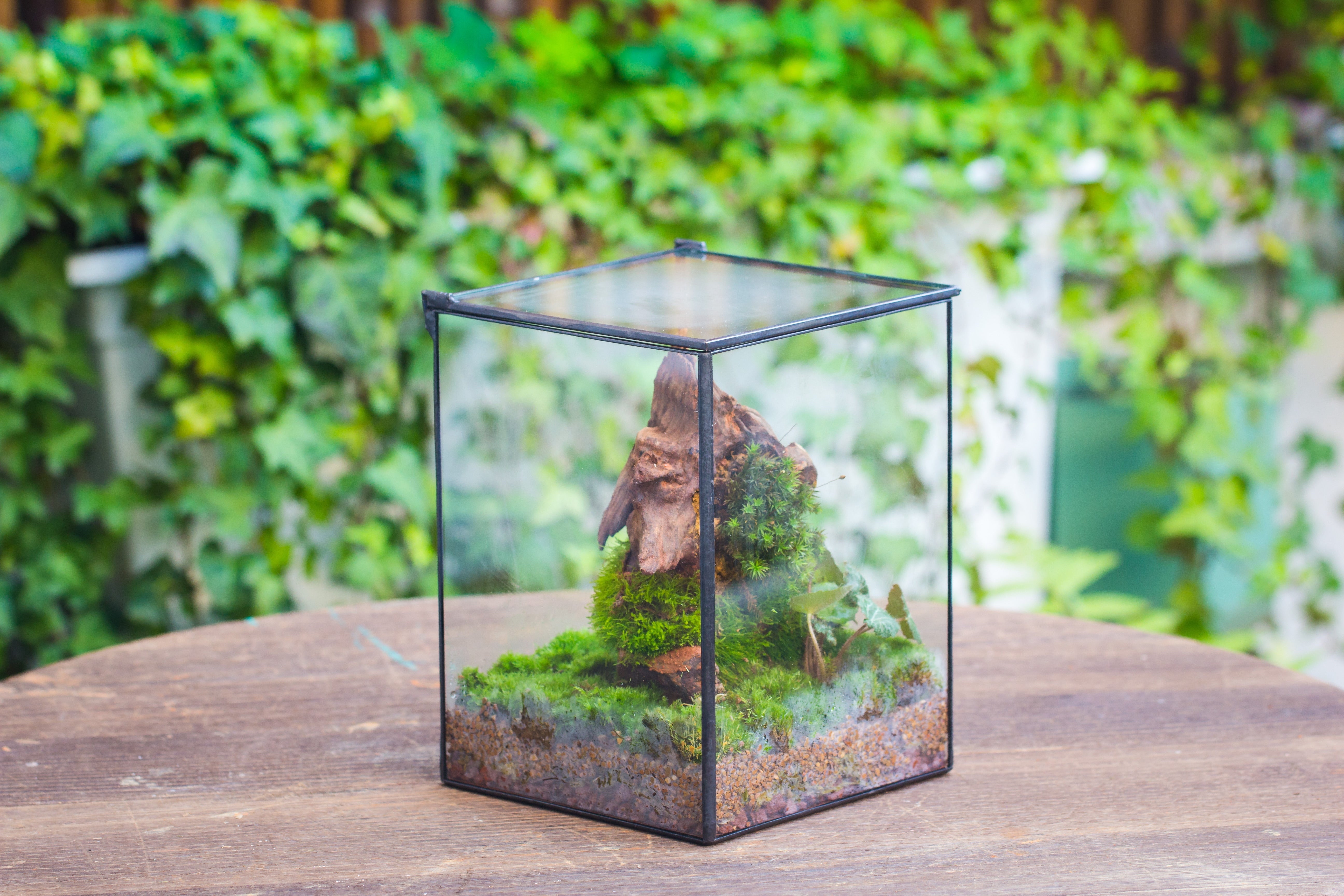 NCYP Basic Rectangle Close Geometric Glass Tin Terrarium, Planter  Multiple Size for Moss Wall, Fern, Landscape multiple size, No plants - NCYPgarden