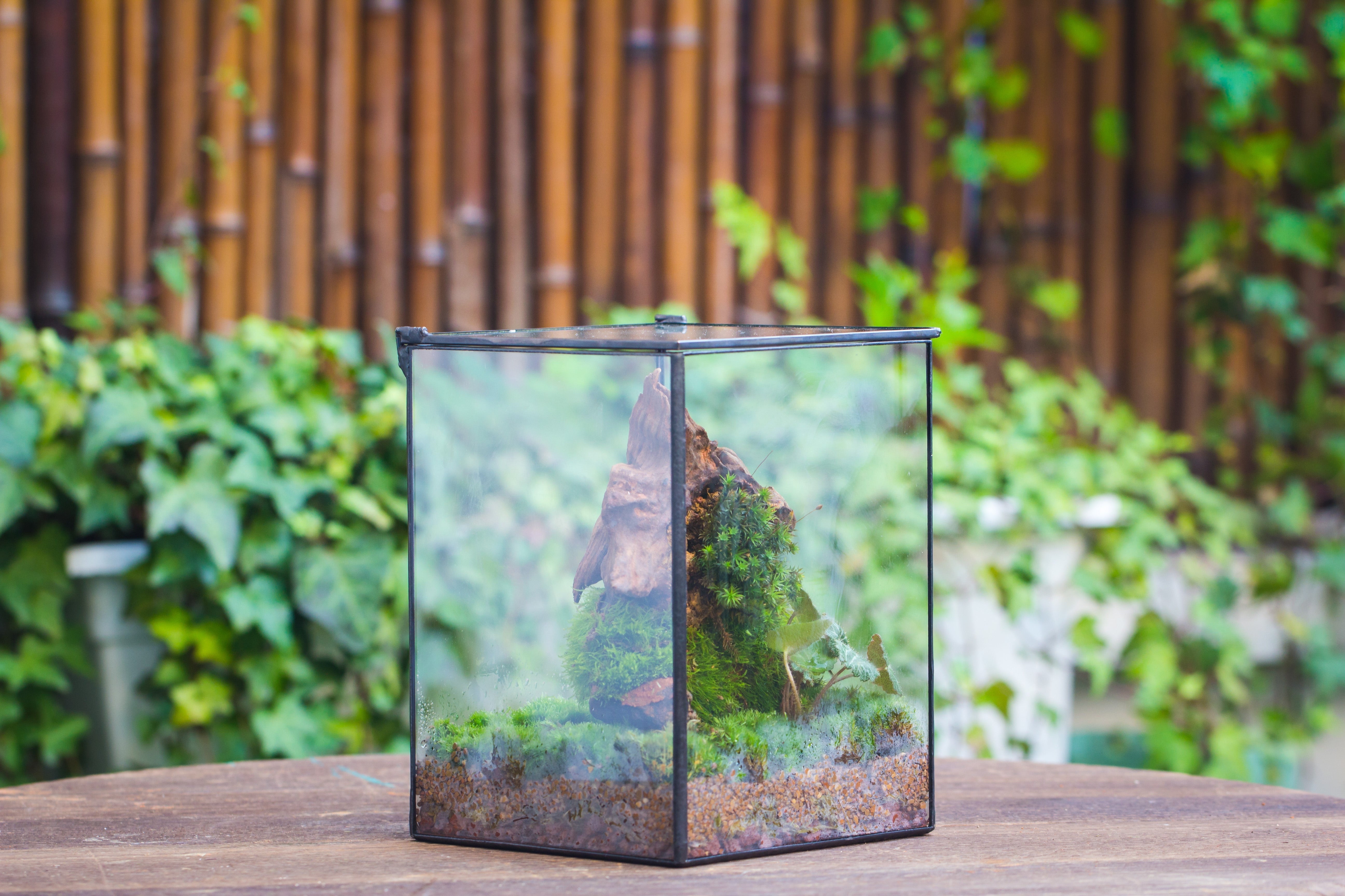 NCYP Basic Rectangle Close Geometric Glass Tin Terrarium, Planter  Multiple Size for Moss Wall, Fern, Landscape multiple size, No plants - NCYPgarden