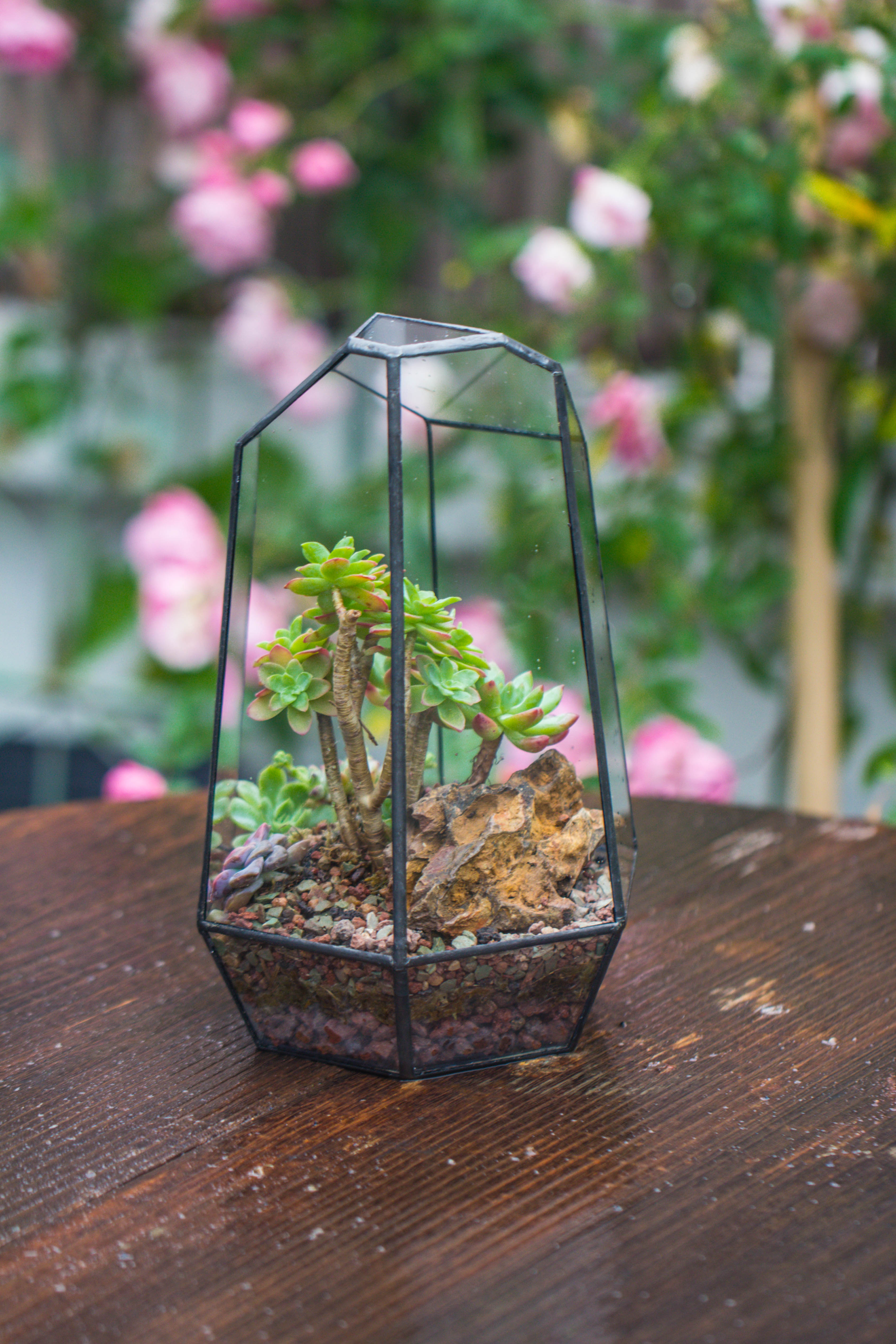 Handmade Irregular Tall Black Glass Geometric Terrarium Various Size for Succulents Moss Airplants - NCYPgarden