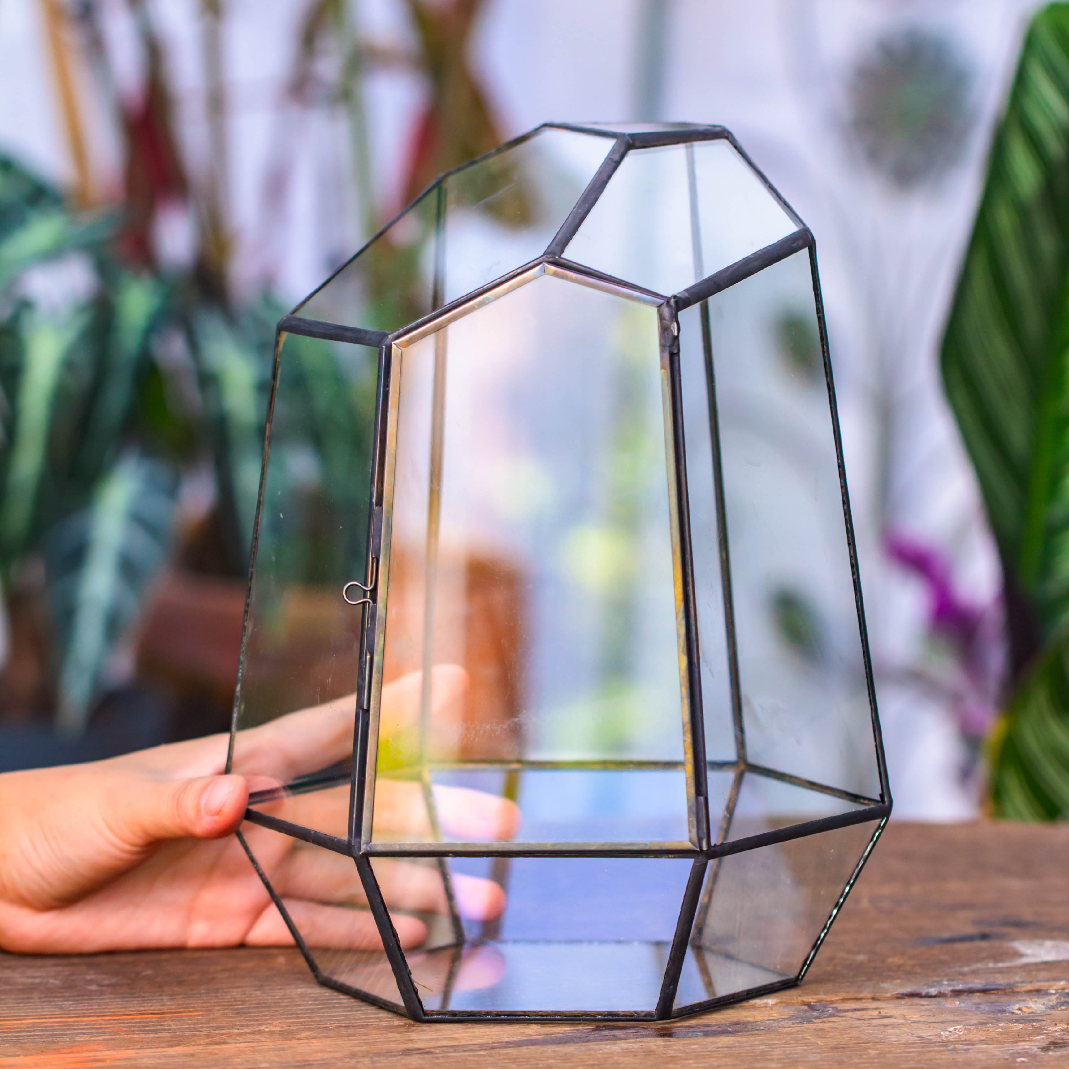 NCYP Close Geometric Glass Terrarium with Door, Tin Sealed Irregular Tall Planter for moss Flower Pot - NCYPgarden