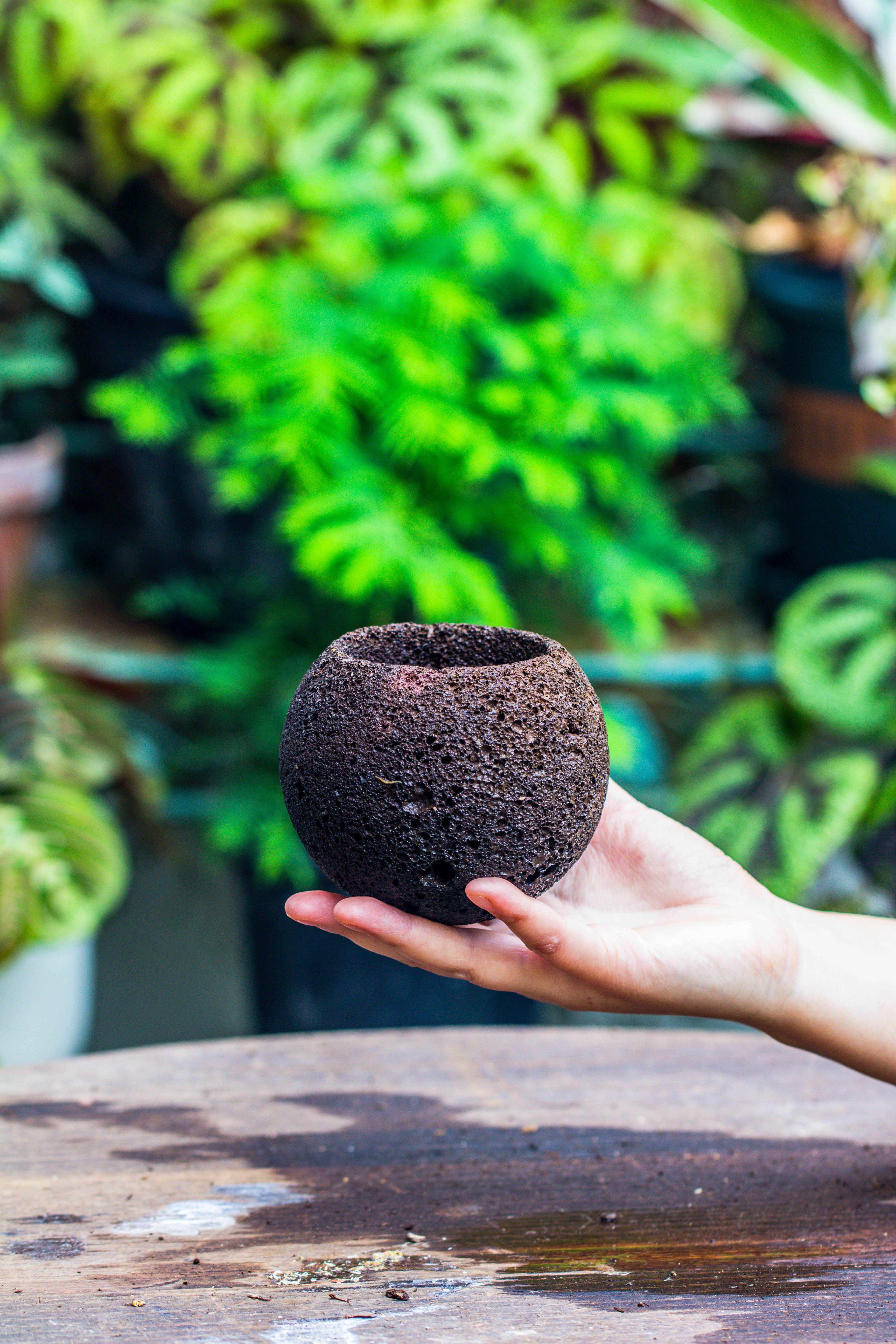 9cm / 3.5" Round Red Horticultural Lava Rock Volcanic Rock Planter for succulents, moss, tropical palants, terrariums - NCYPgarden