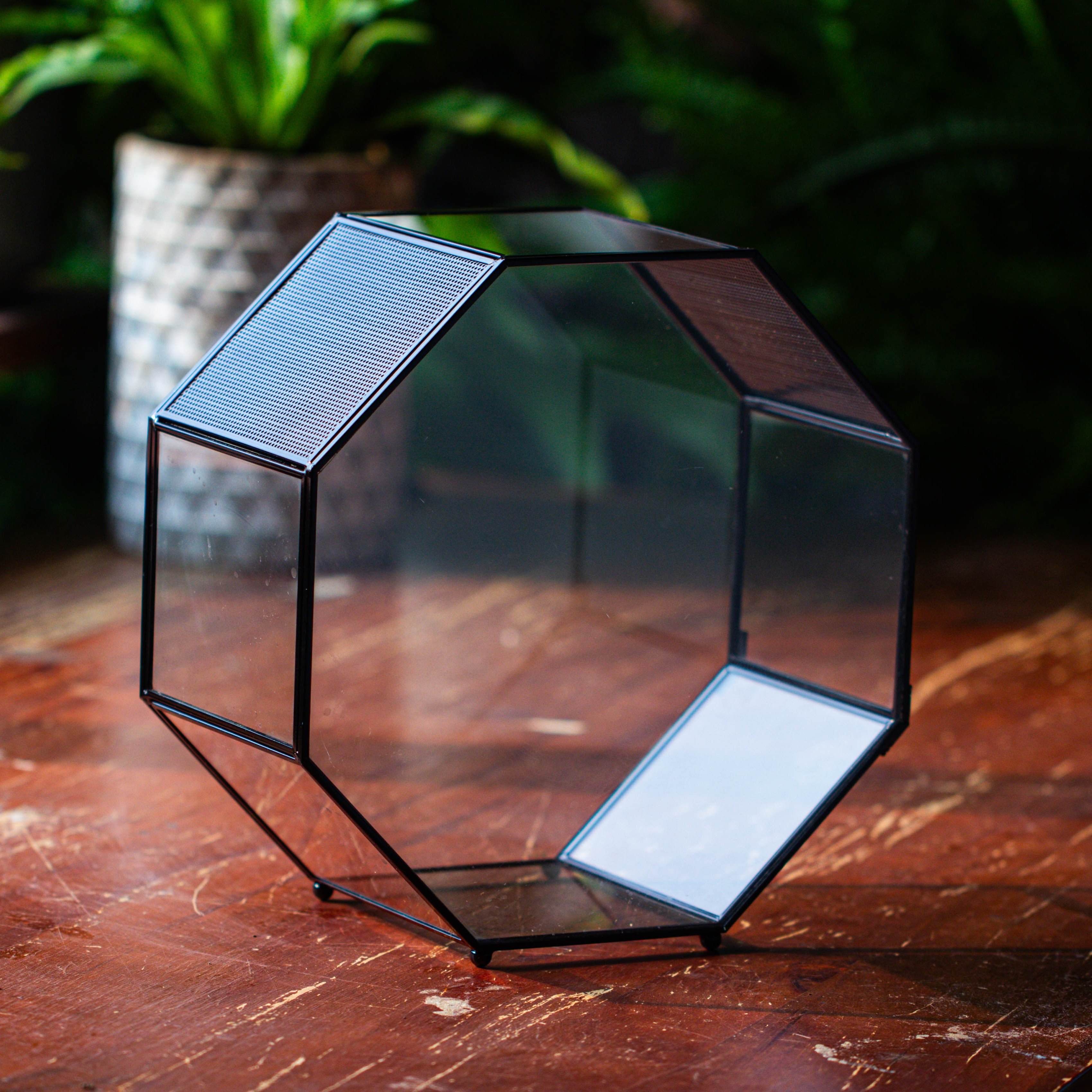 Handmade Octagon Glass Geometric Terrarium with Side Vent, Spider Terrarium, Jumping Spider/Snail Terrarium, Jumping Spider Enclosure