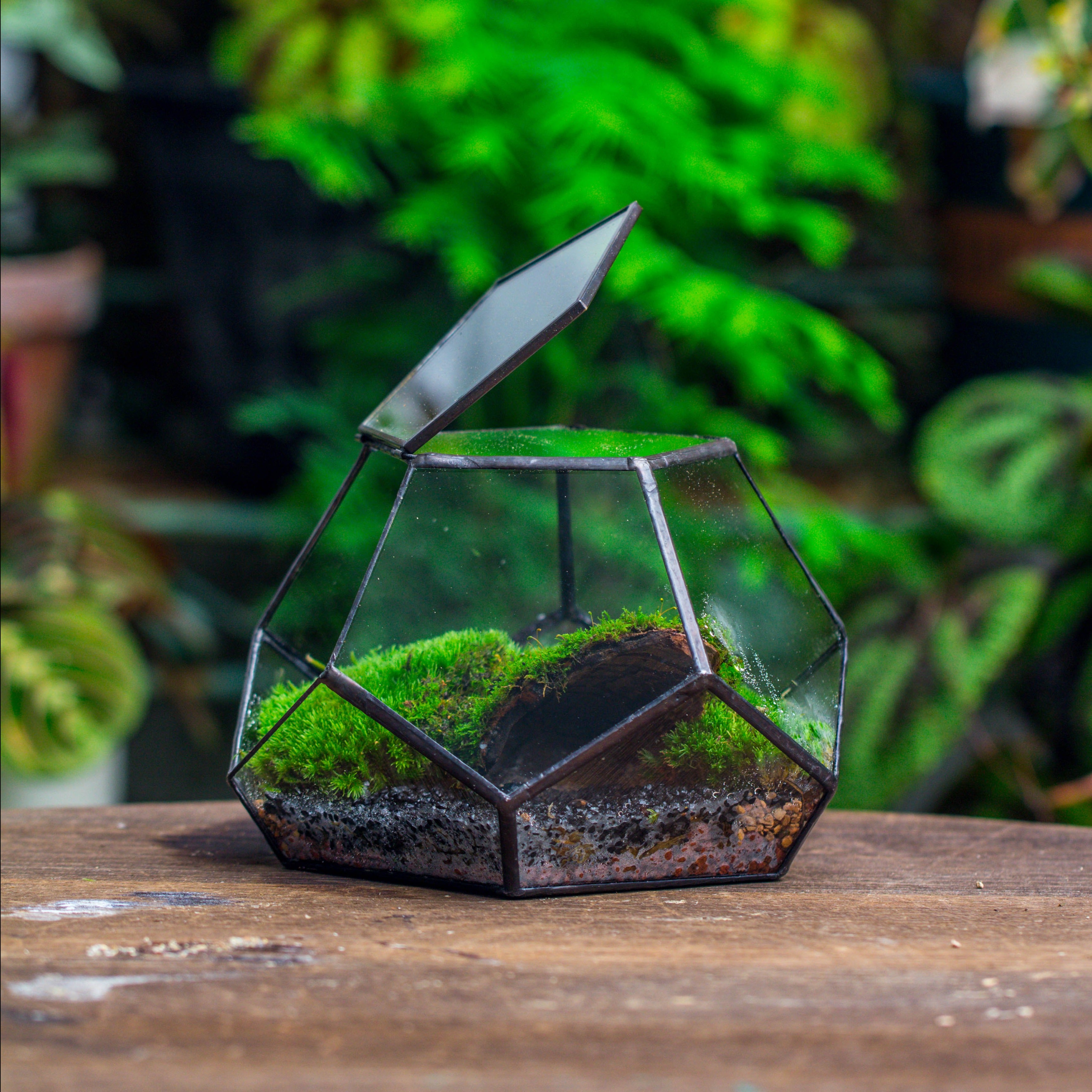 handmade geometric half ball, pentagon, close terrarium, with door for moss - NCYPgarden