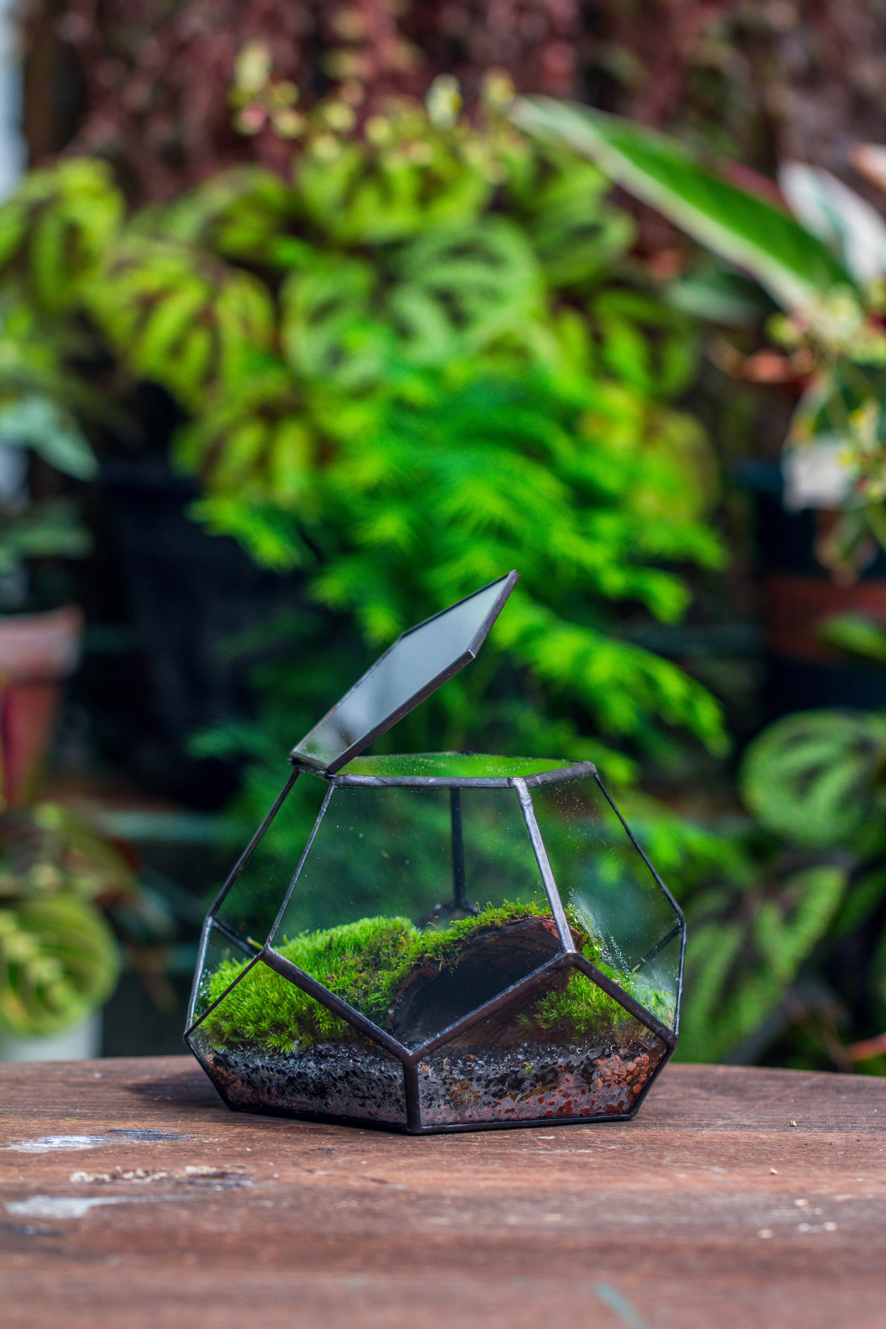 handmade geometric half ball, pentagon, close terrarium, with door for moss - NCYPgarden