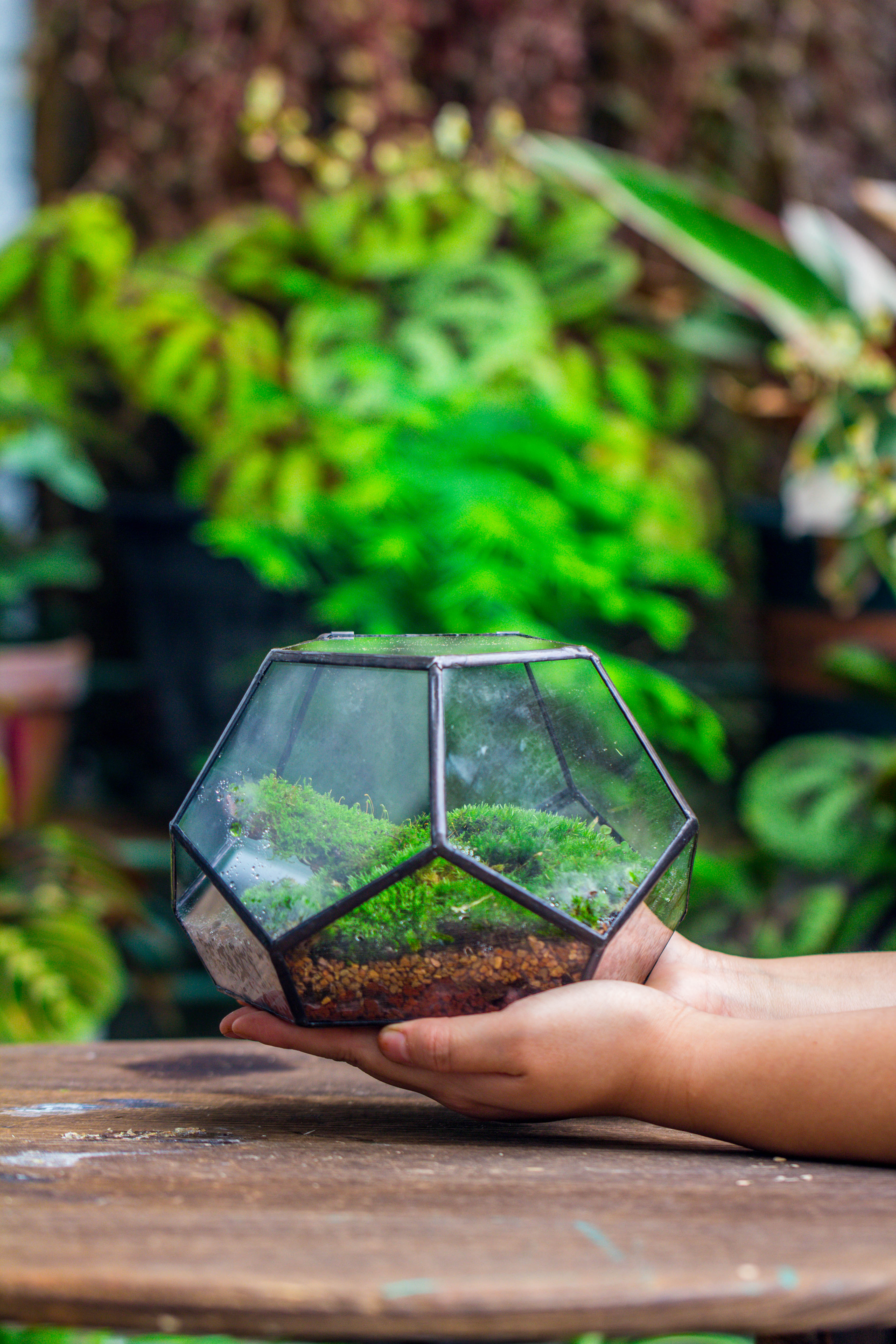 handmade geometric half ball, pentagon, close terrarium, with door for moss - NCYPgarden